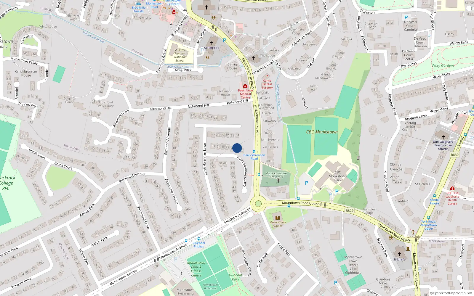 Overhead map showing the location of 38 Carrickbrennan Lawn, Monkstown