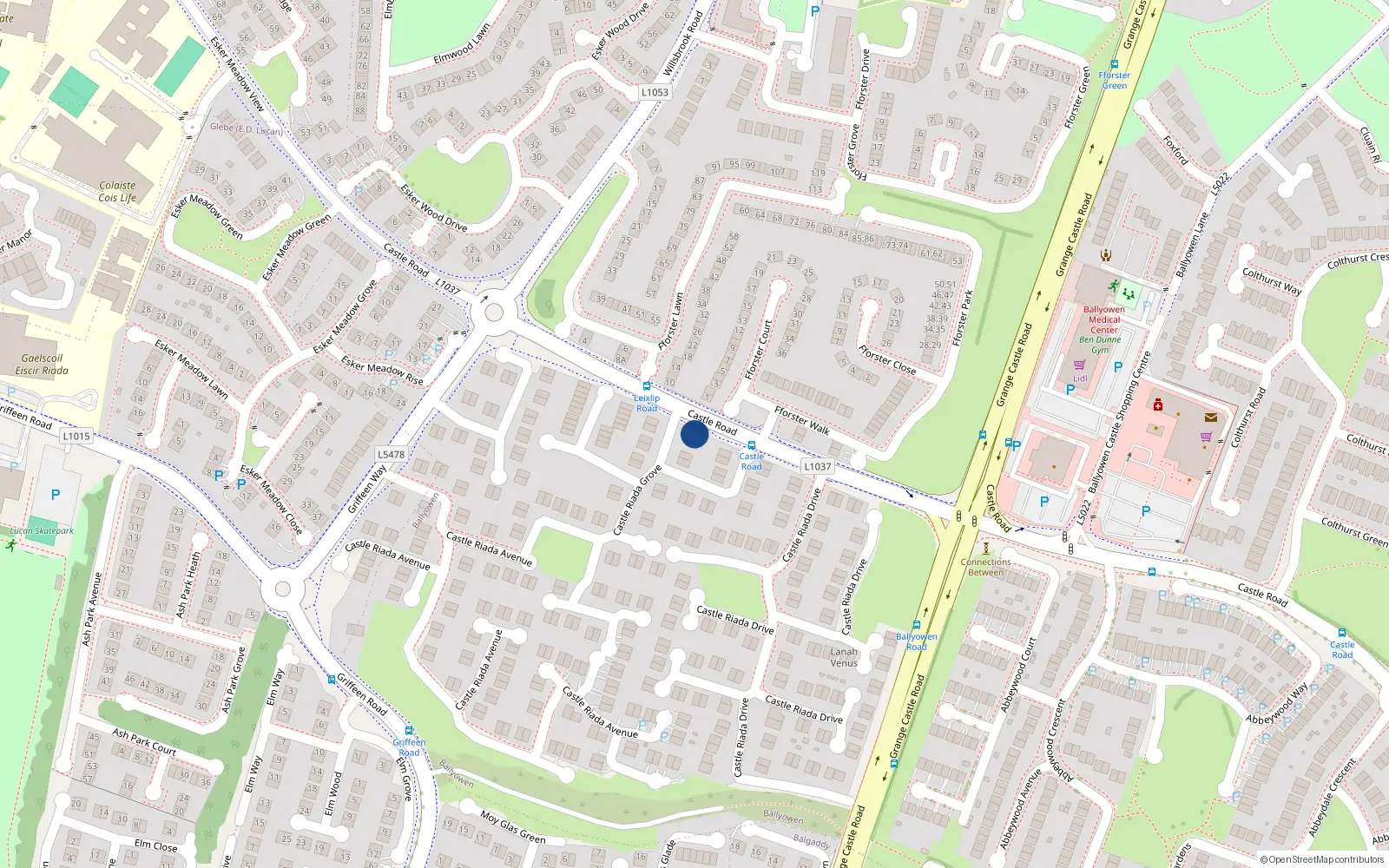 Overhead map showing the location of 38 Castle Riada Grove, Lucan