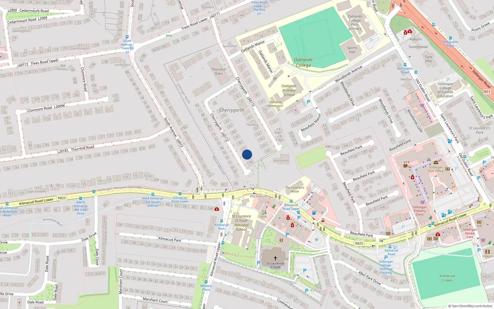 Overhead map showing the location of 38 Cherrygarth, Blackrock