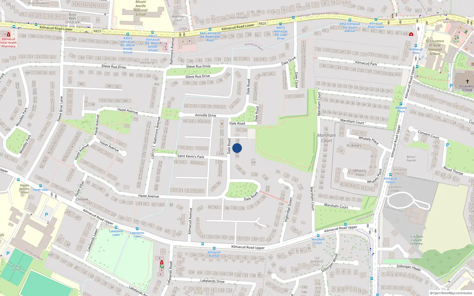 Overhead map showing the location of 38 Dale Road, Stillorgan, Dublin