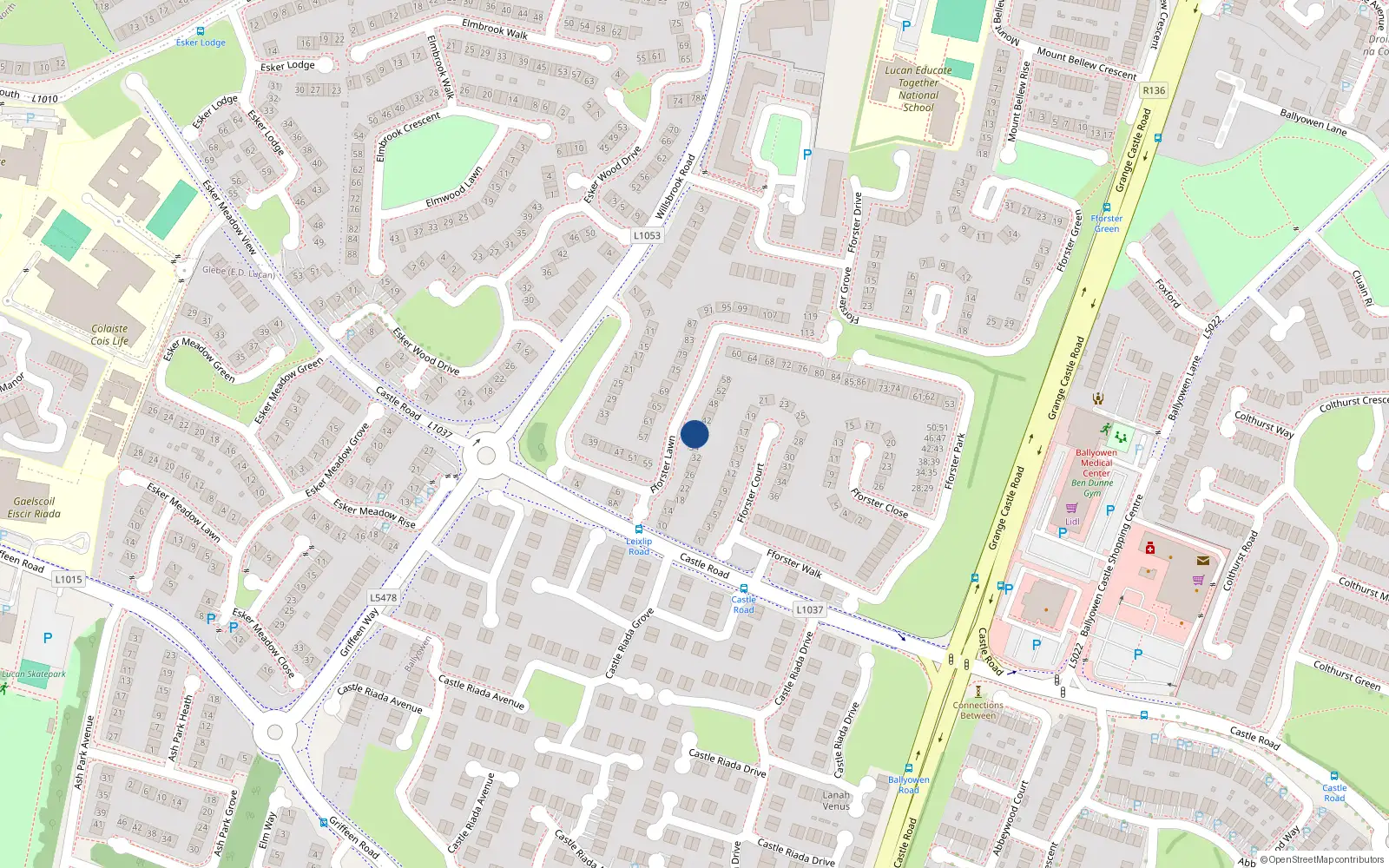 Overhead map showing the location of 38 Fforster Lawn, Ballydowd Manor, Lucan