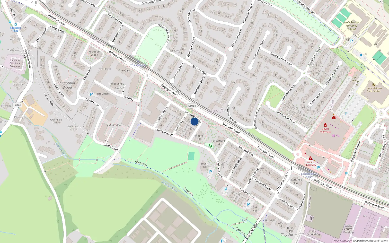 Overhead map showing the location of 38 Larkfield Heath, Kilgobbin