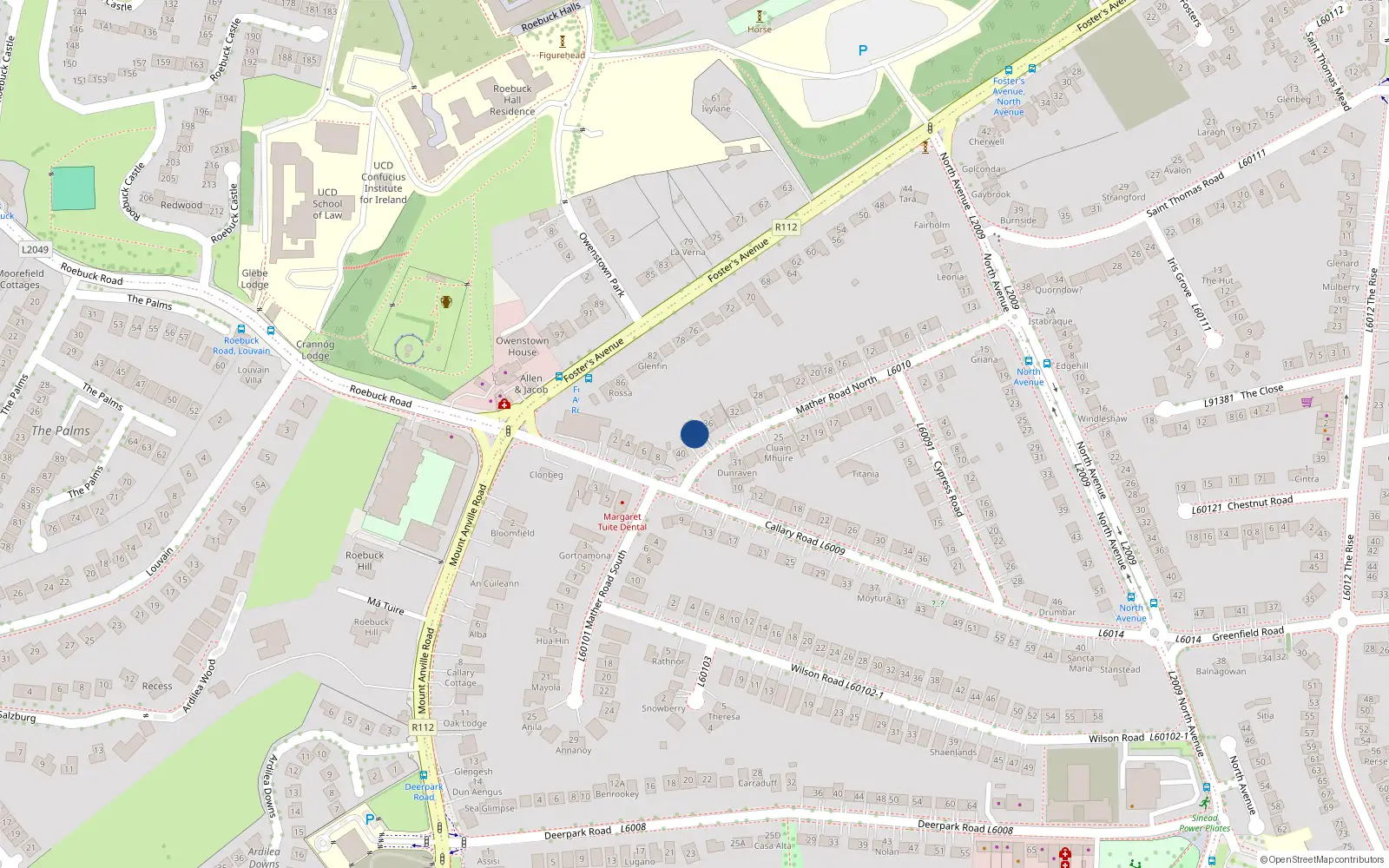 Overhead map showing the location of 38 Mather Road North, Blackrock
