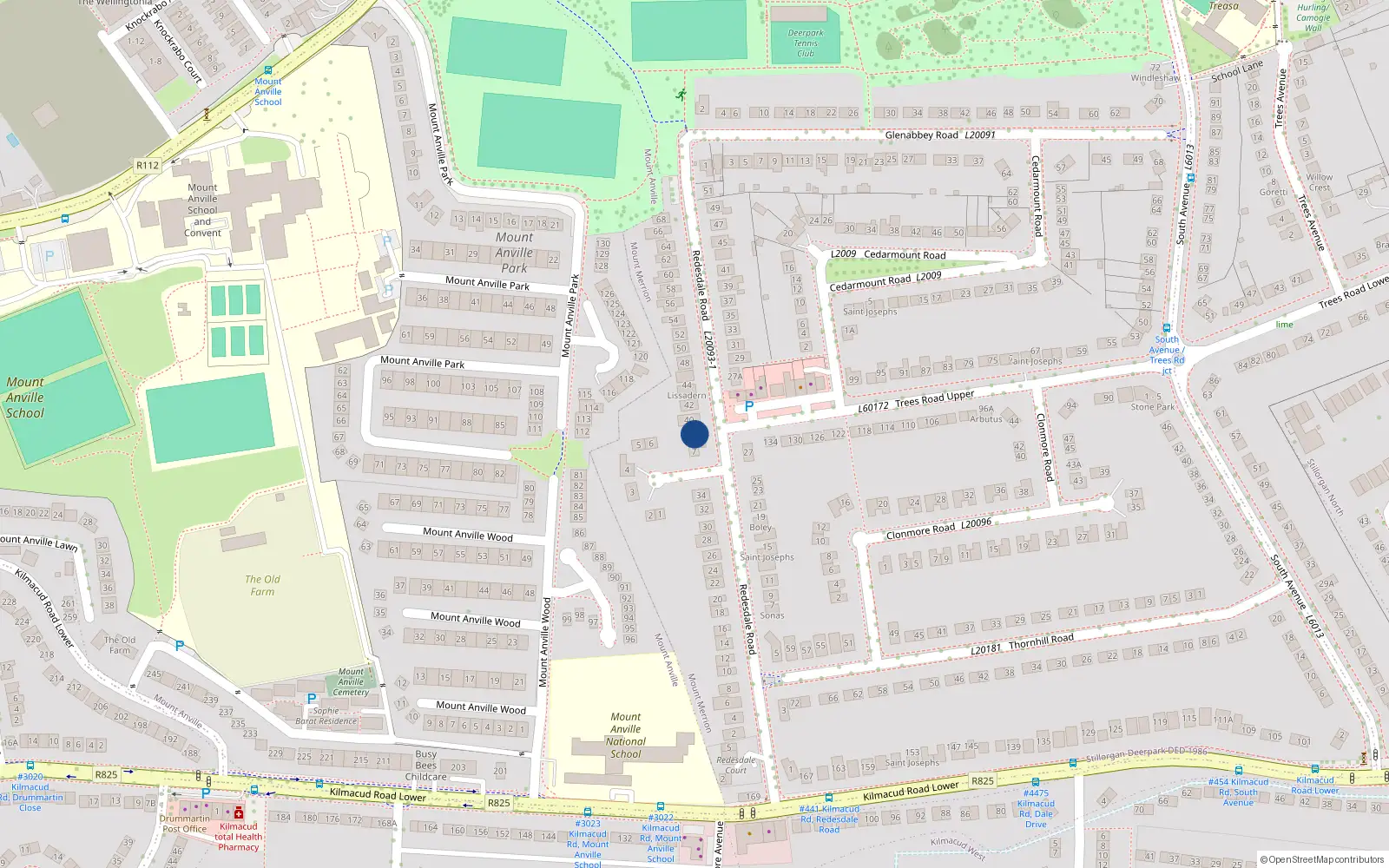 Overhead map showing the location of 38 Redesdale Road, Blackrock