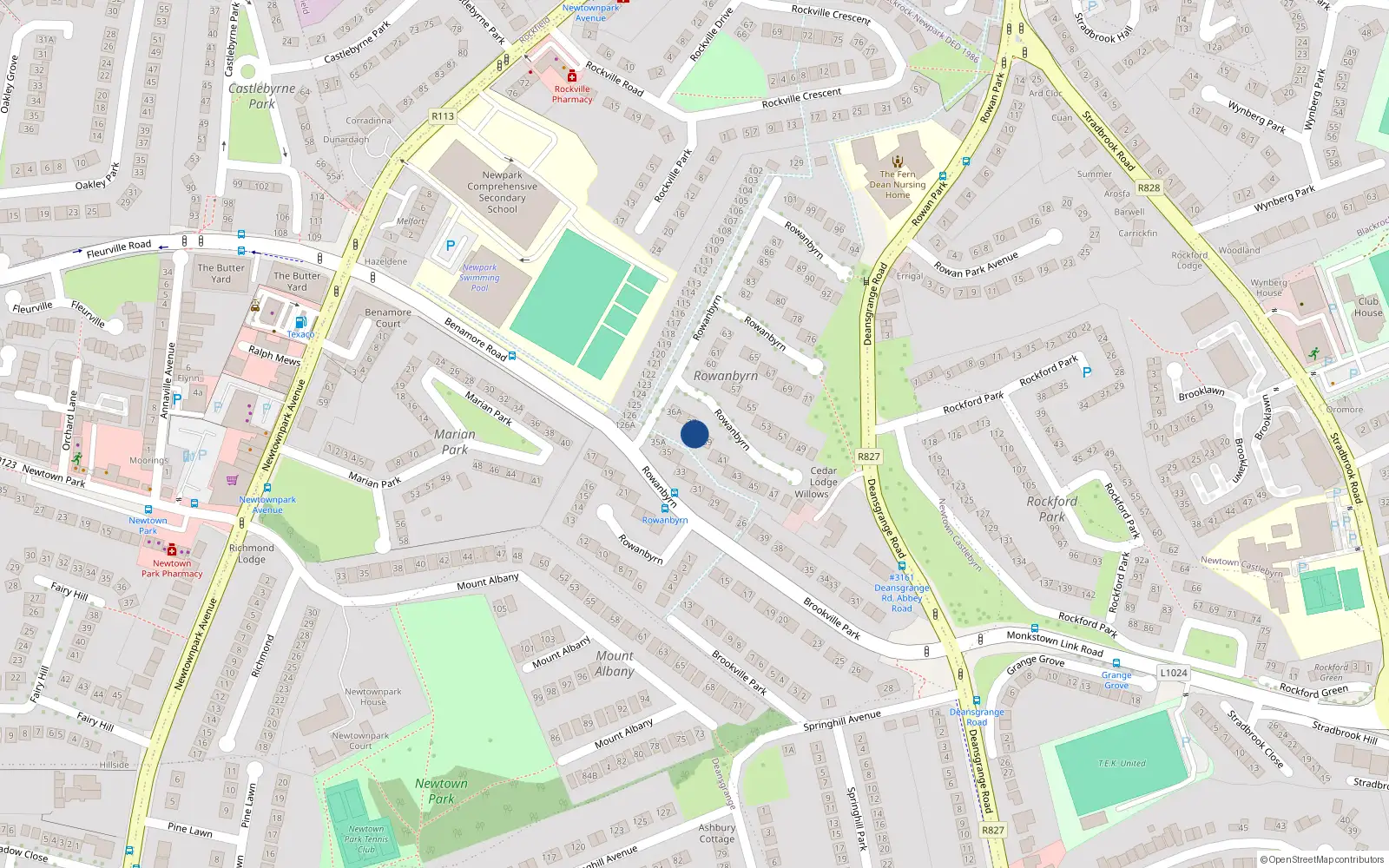 Overhead map showing the location of 38 Rowanbyrn, Blackrock, Co Dublin