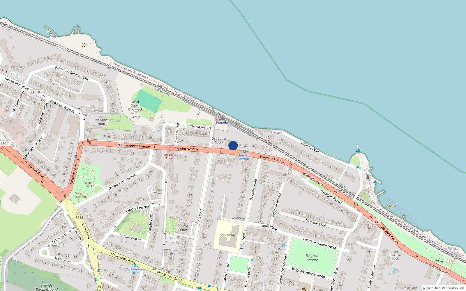 Overhead map showing the location of 38 Seapoint Avenue, Blackrock
