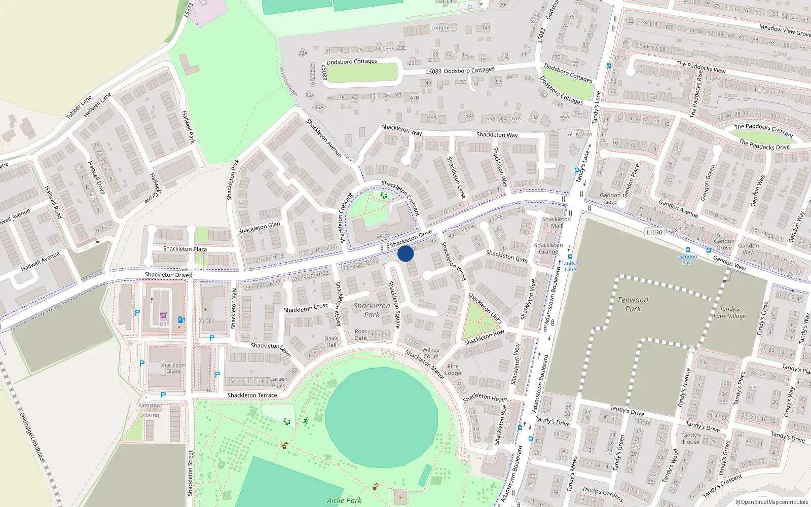 Overhead map showing the location of 38 Shackleton Drive, Finnstown