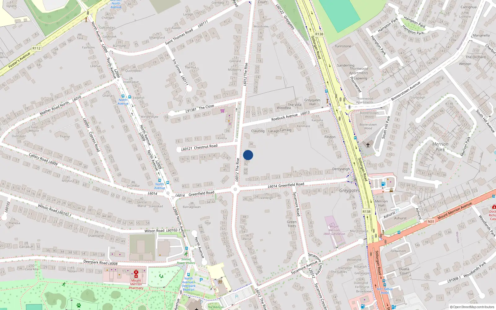 Overhead map showing the location of 38 The Rise, Blackrock