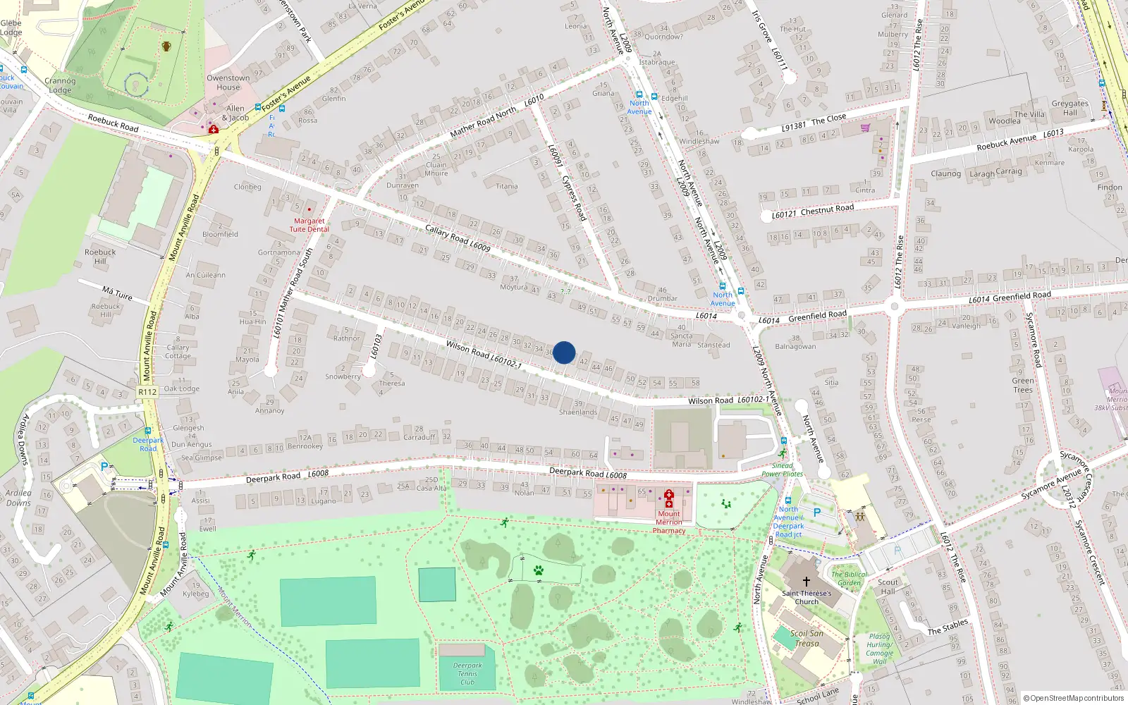 Overhead map showing the location of 38 Wilson Road, Blackrock