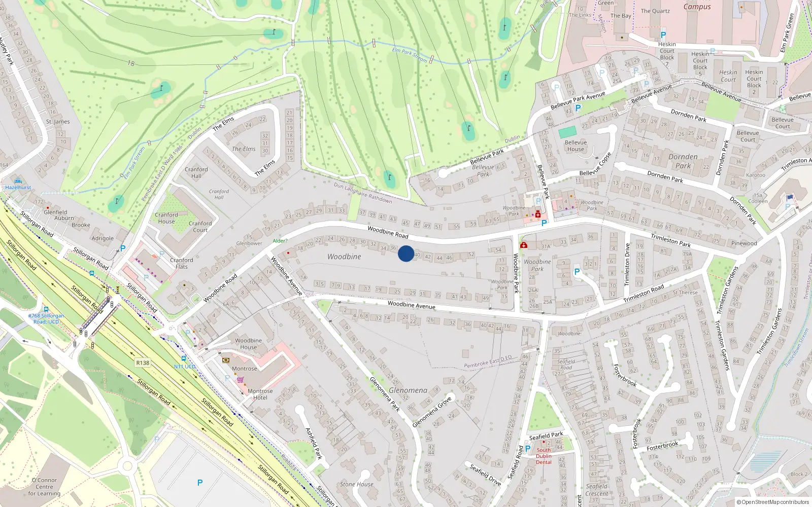 Overhead map showing the location of 38 Woodbine Road, Blackrock