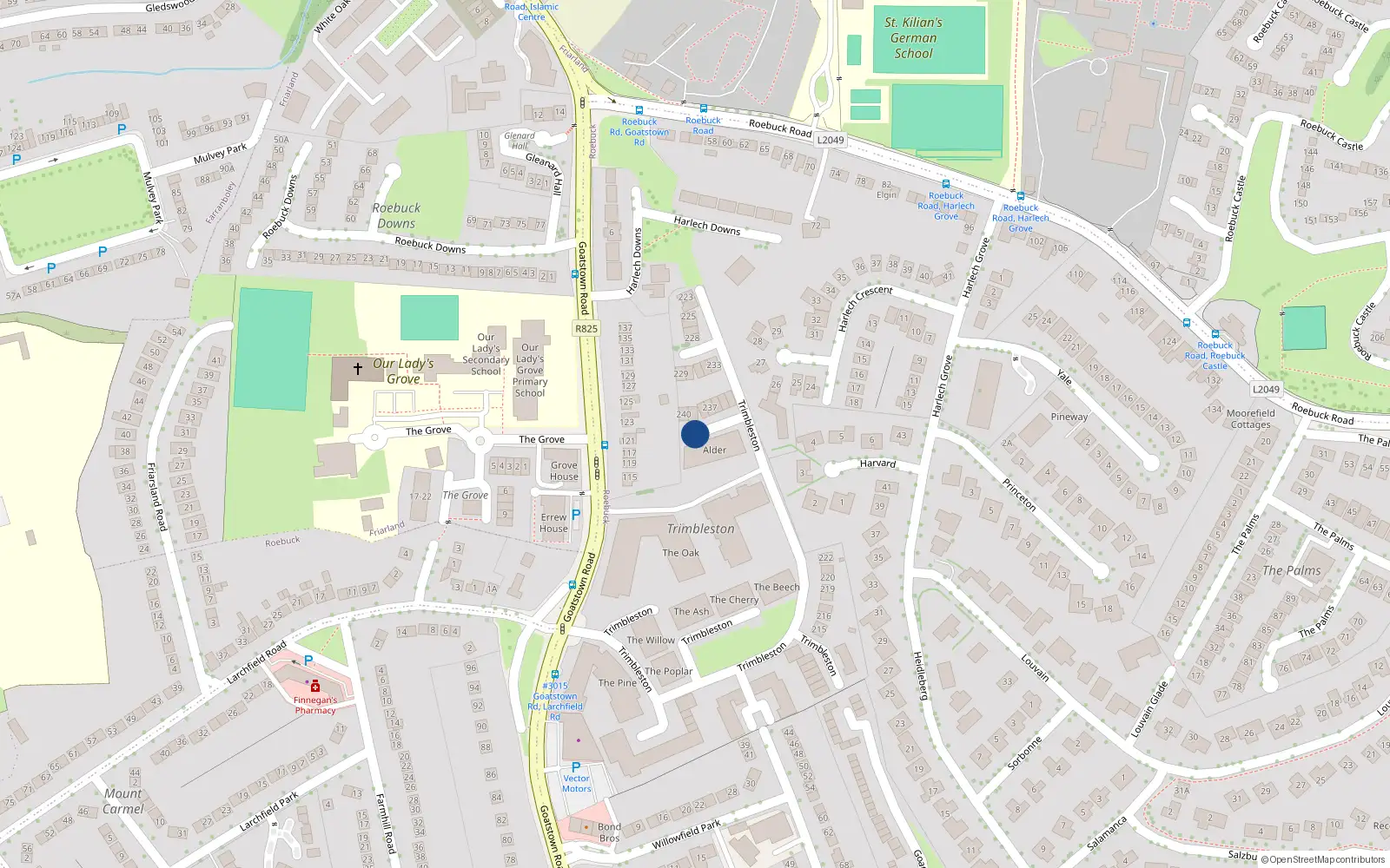 Overhead map showing the location of 389 the Oak, Trimbleston, Goatstown Road