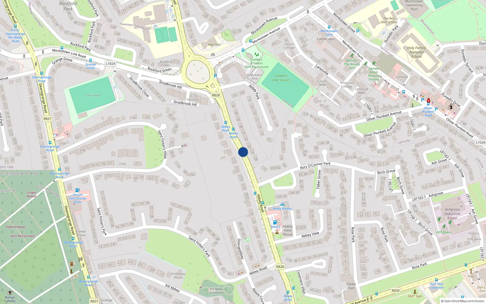 Overhead map showing the location of 39 Abbey Road, Blackrock