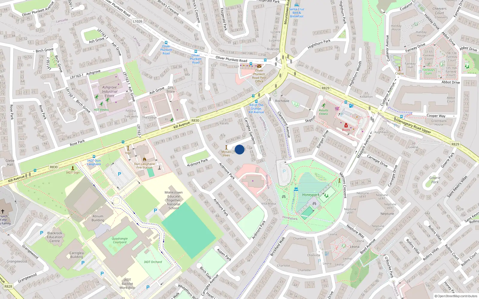 Overhead map showing the location of 39 Carriglea Gardens, Co. Dublin.