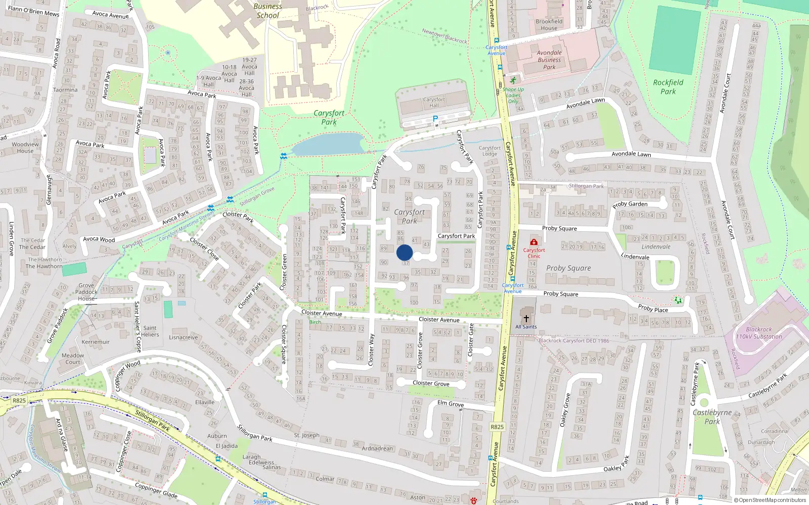 Overhead map showing the location of 39 Carysfort Park, Blackrock