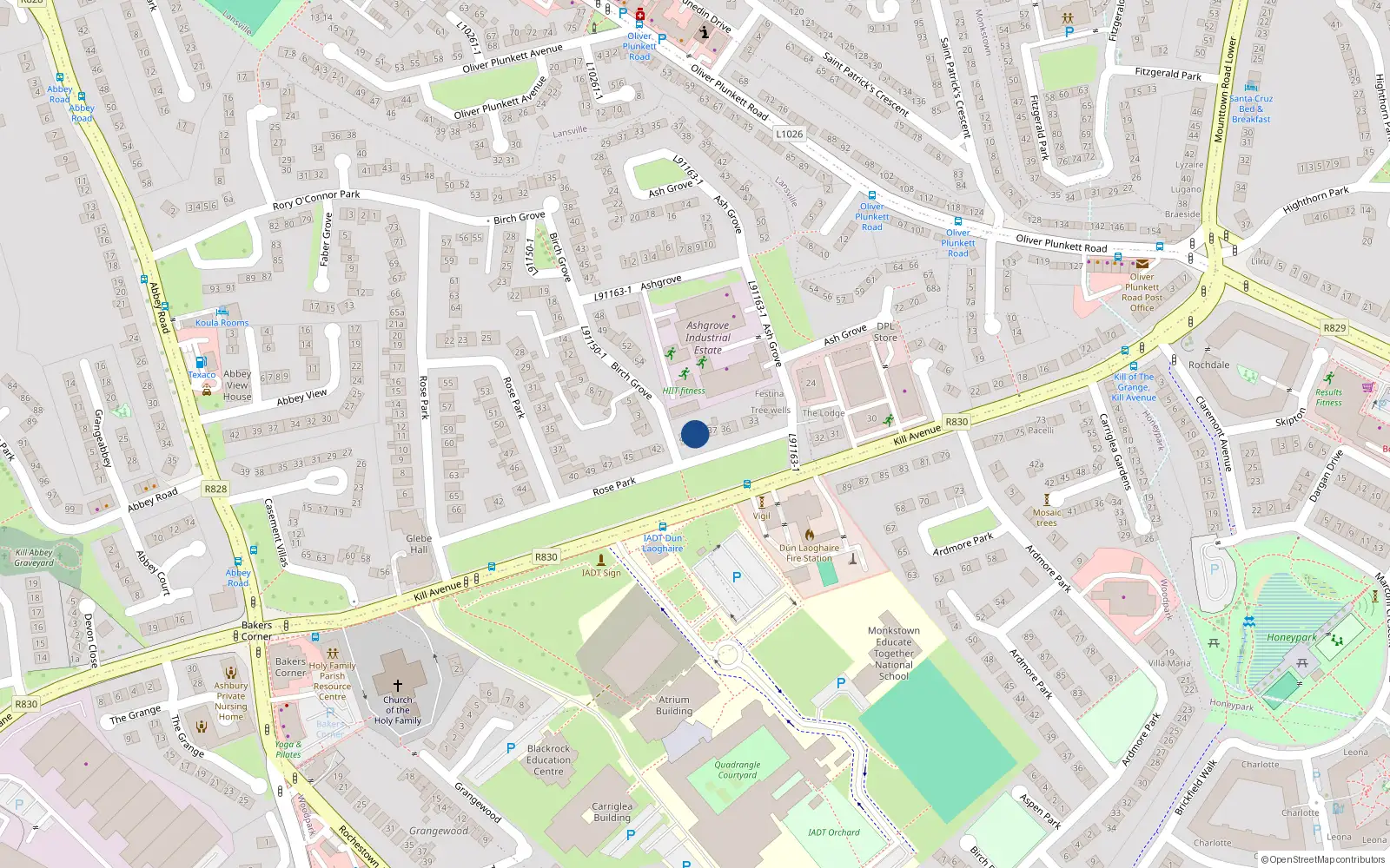 Overhead map showing the location of 39 Kill Avenue, Dublin