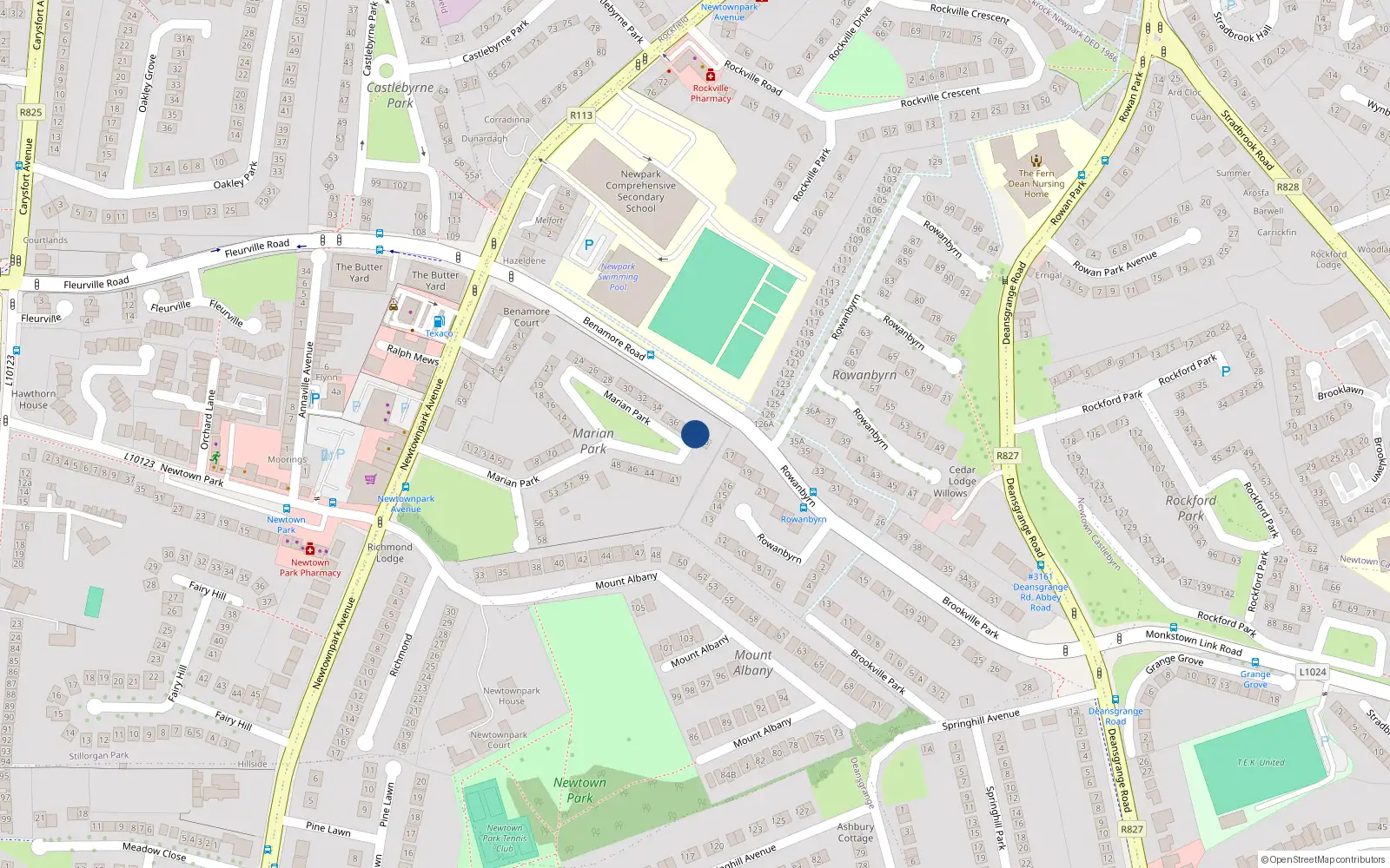Overhead map showing the location of 39 Marian Park, Blackrock
