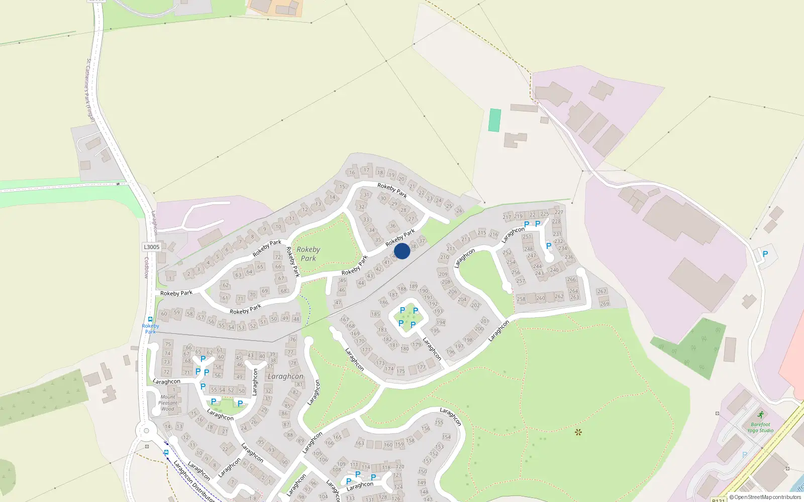 Overhead map showing the location of 39 Rokeby Park, Lucan