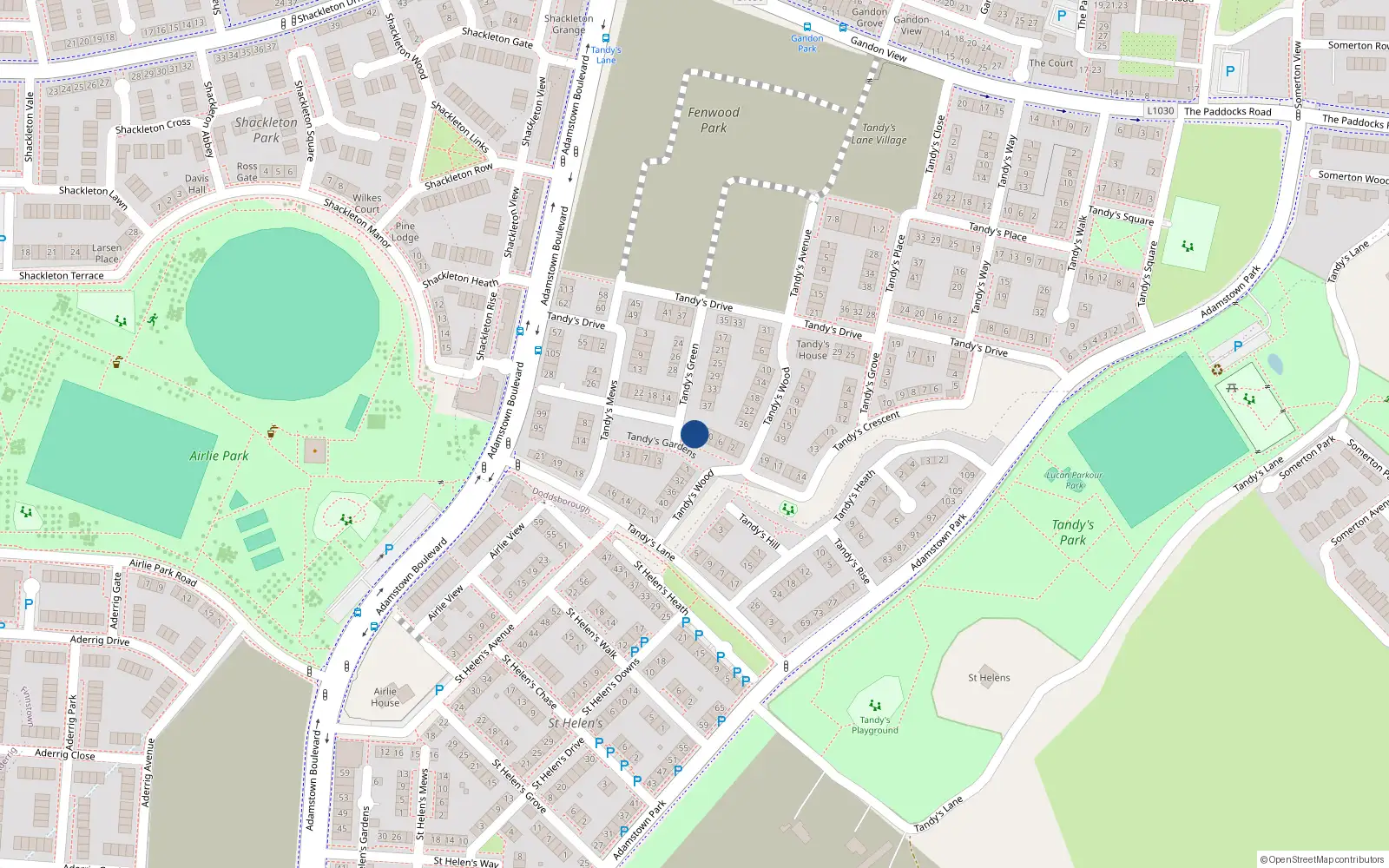 Overhead map showing the location of 39 Tandy's Green, Adamstown, Lucan