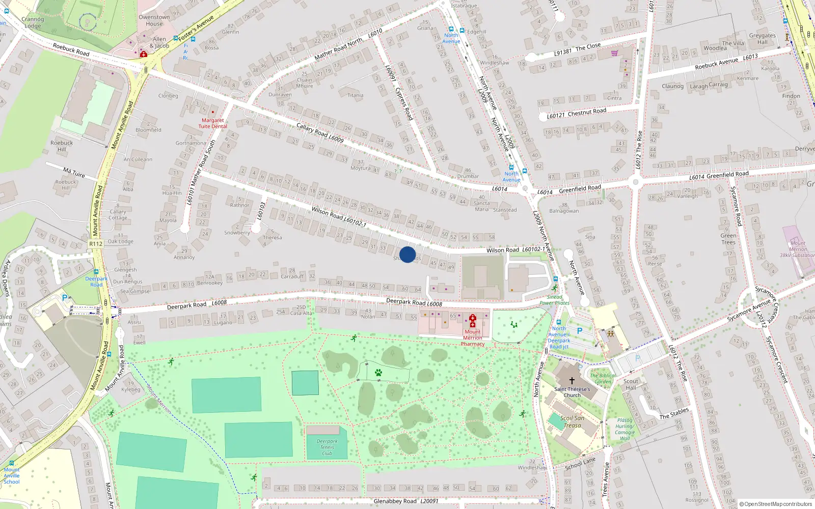 Overhead map showing the location of 39 Wilson Road, Blackrock