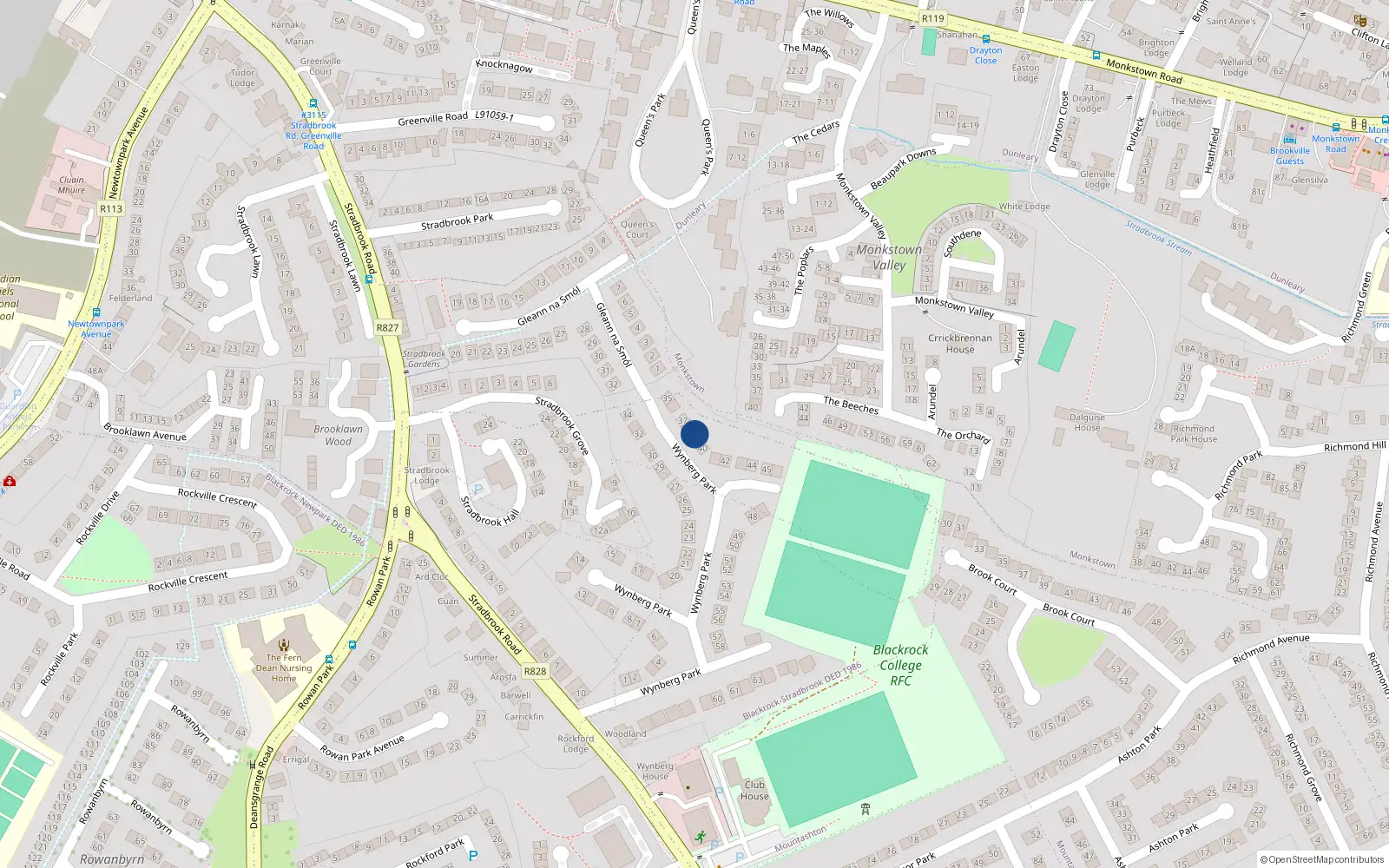 Overhead map showing the location of 39 Wynberg Park, Blackrock
