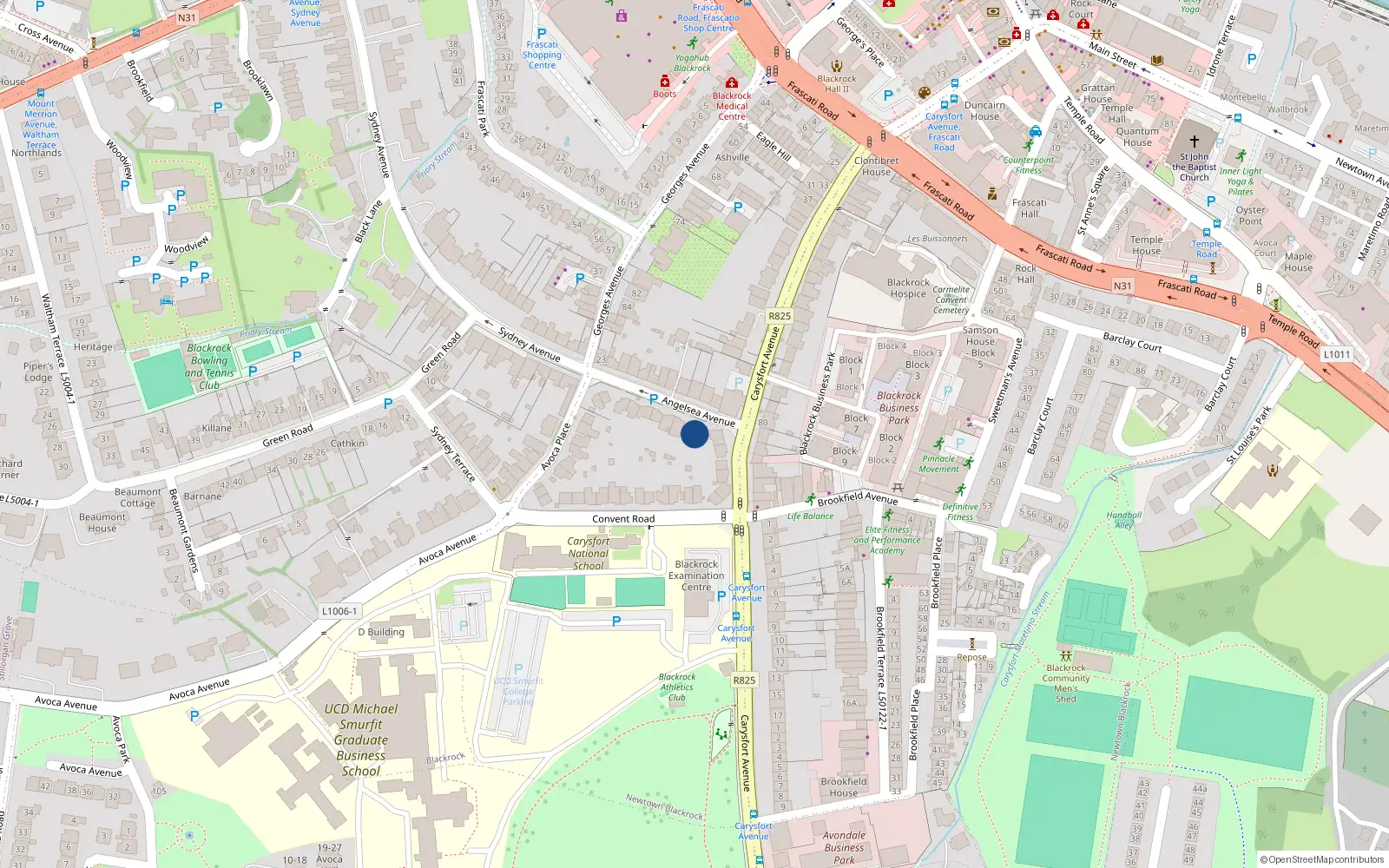 Overhead map showing the location of 4 Anglesea Avenue, Blackrock