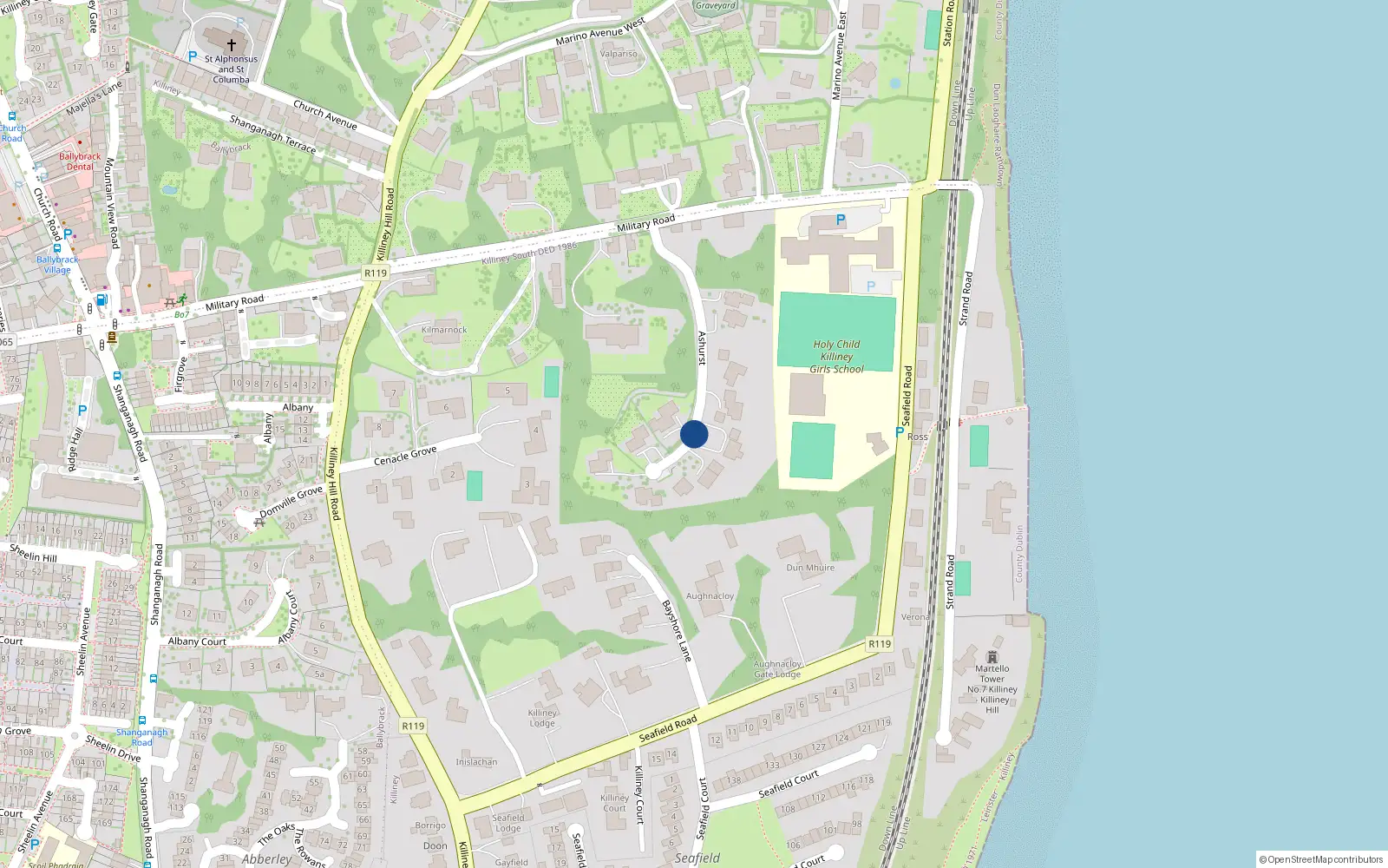 Overhead map showing the location of 4 Ashurst, Killiney