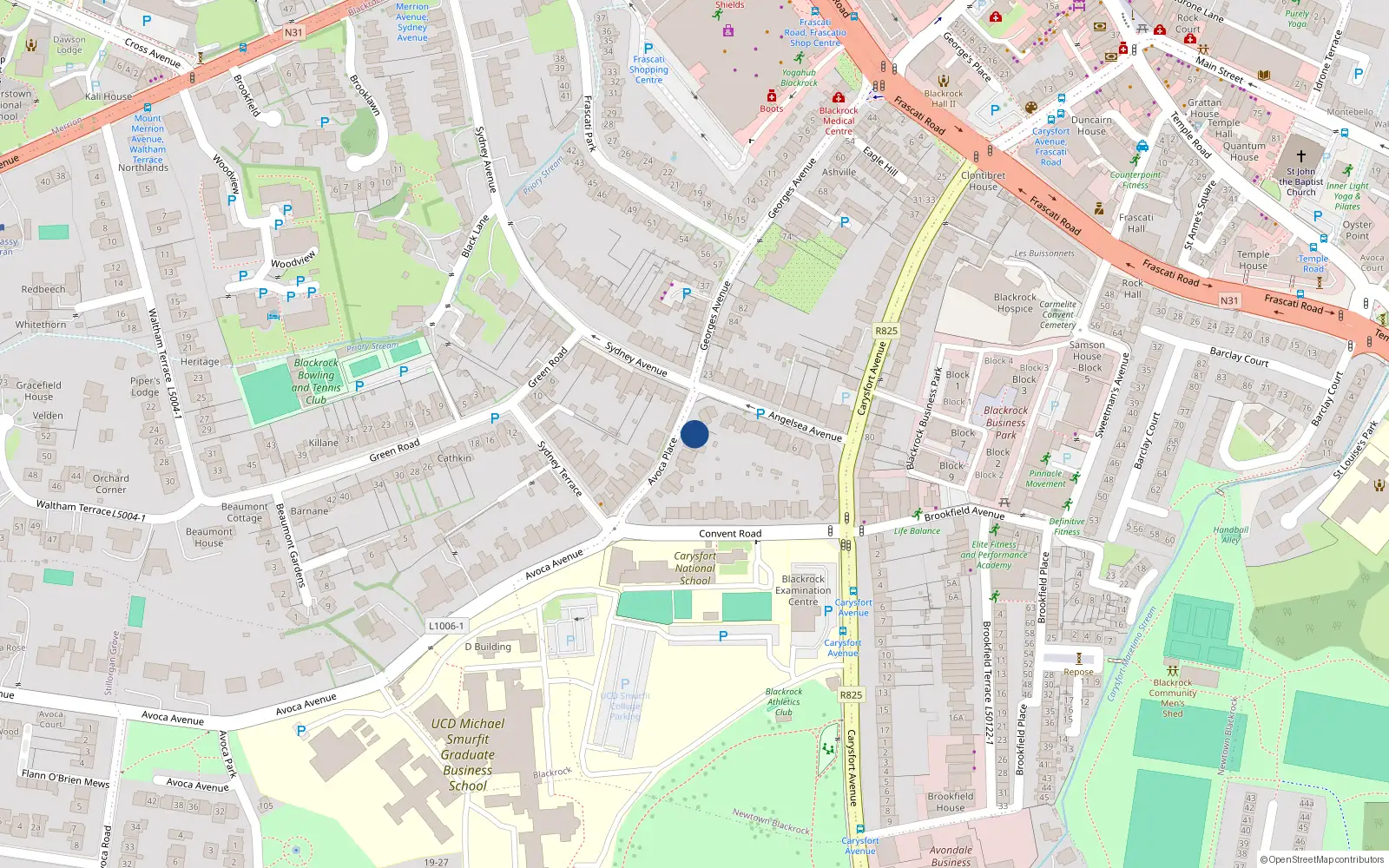 Overhead map showing the location of 4 Avoca Place, Blackrock, Dublin