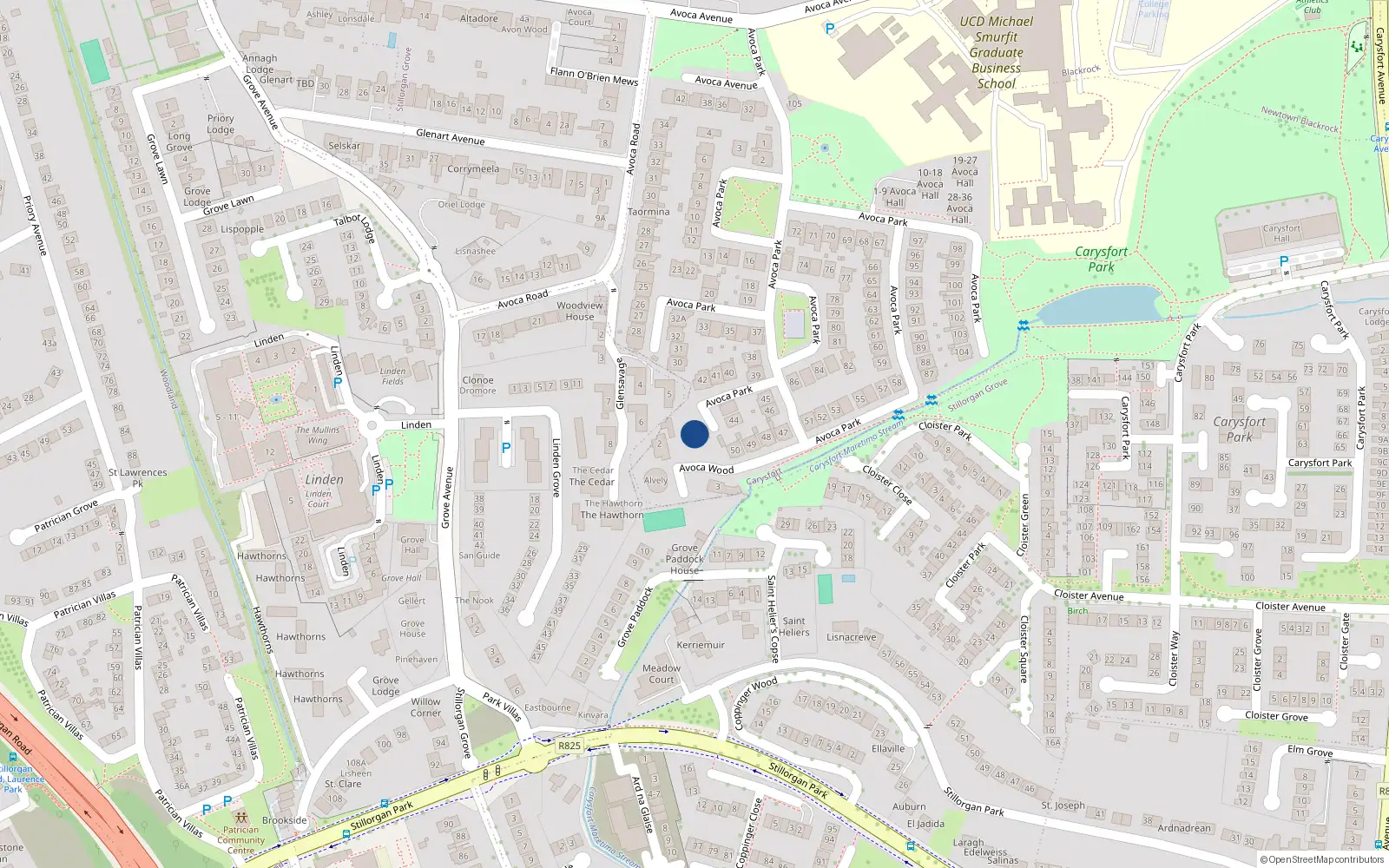 Overhead map showing the location of 4 Avoca Wood, Avoca Avenue, Blackrock