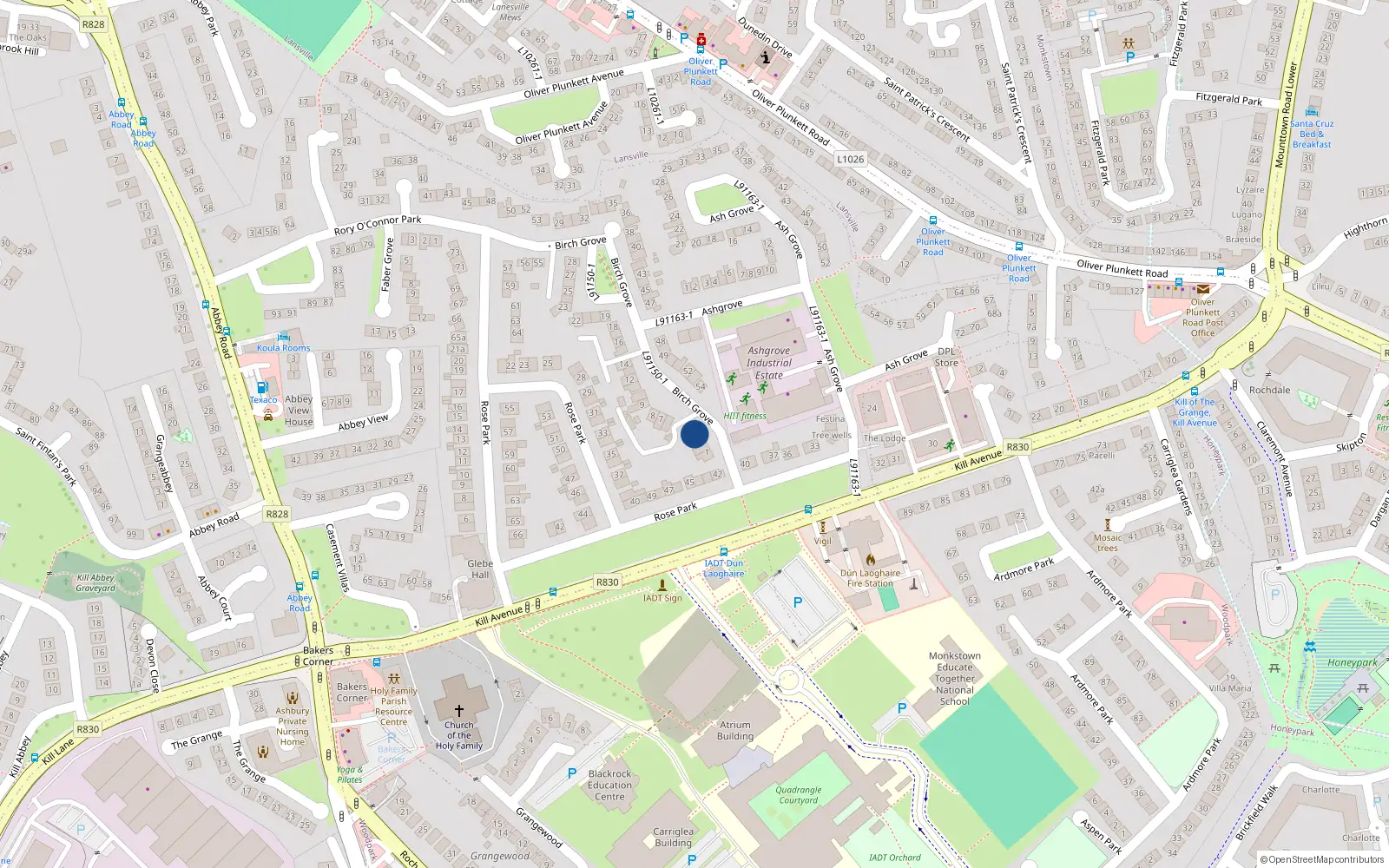 Overhead map showing the location of 4 Birch Grove, Dun Laoghaire
