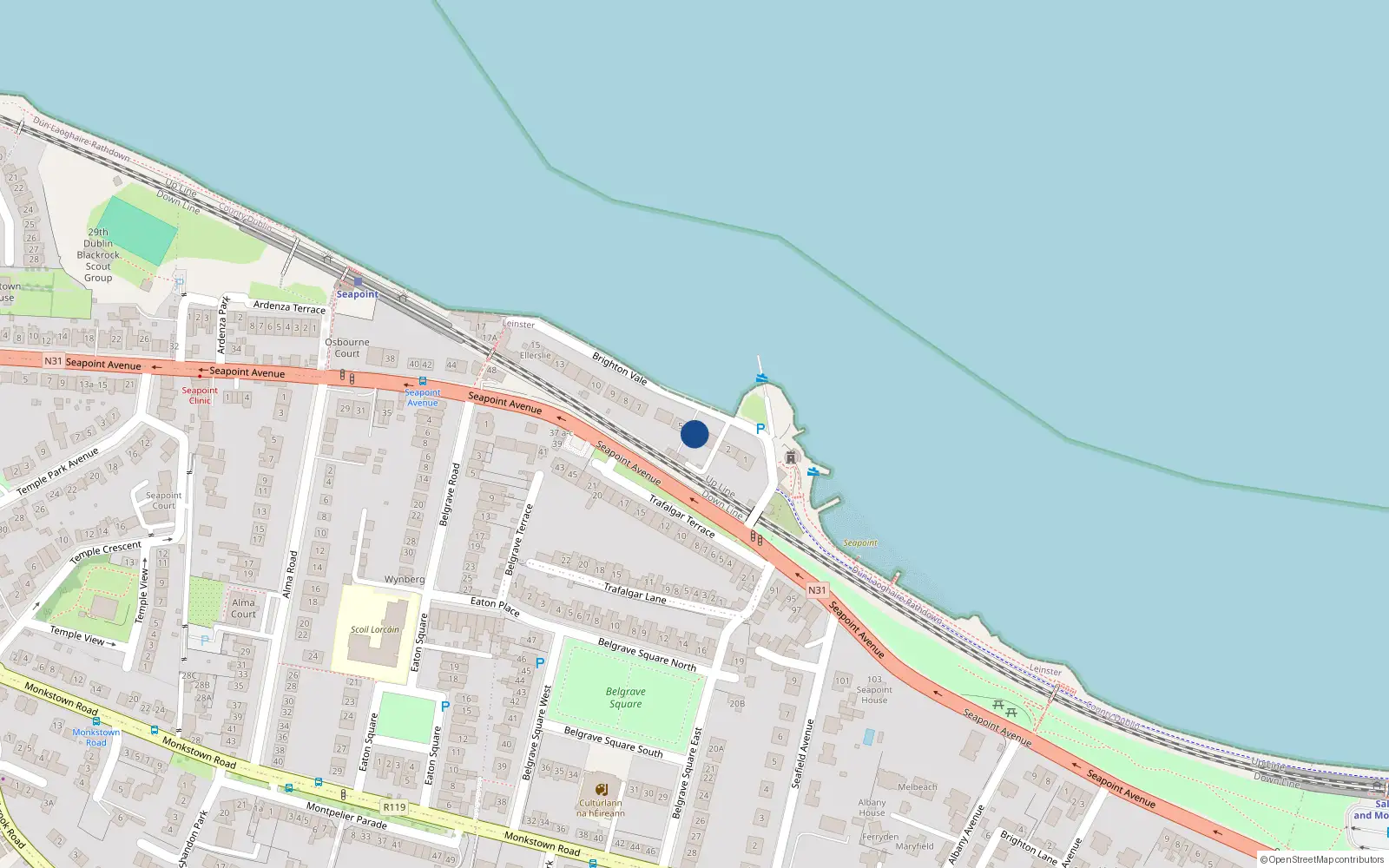 Overhead map showing the location of 4 Brighton Vale, Blackrock