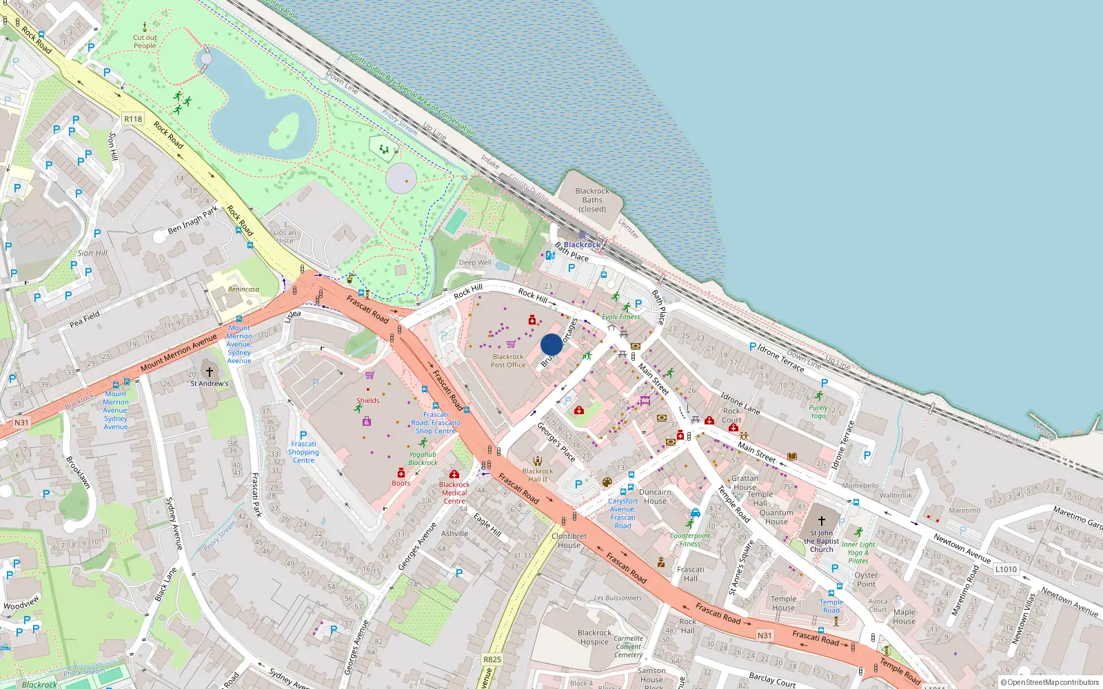 Overhead map showing the location of 4 Brusna Cottages, Blackrock