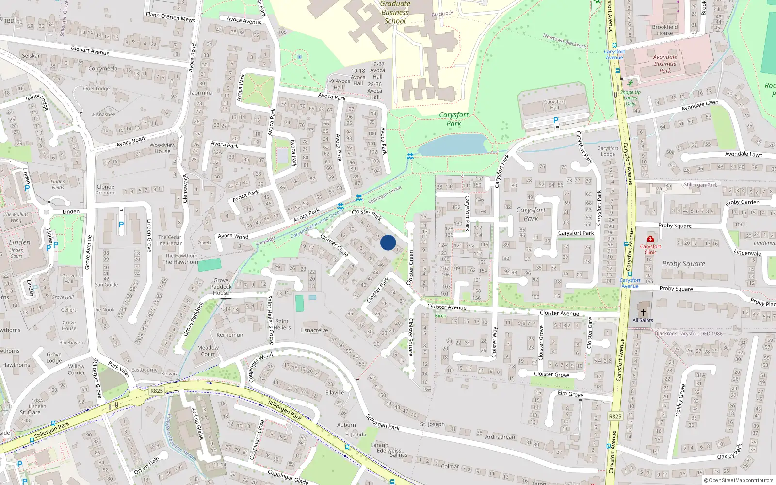 Overhead map showing the location of 4 Cloister Park, Blackrock
