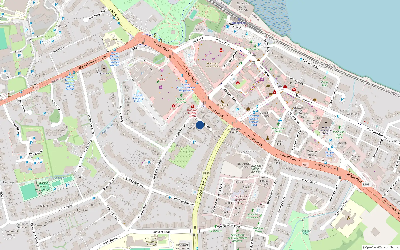 Overhead map showing the location of 4 Eagle Hill, Blackrock