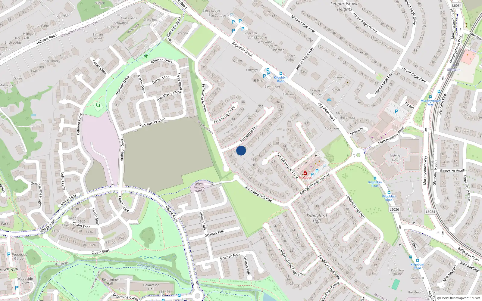Overhead map showing the location of 4 Ferncarrig Rise, Sandyford