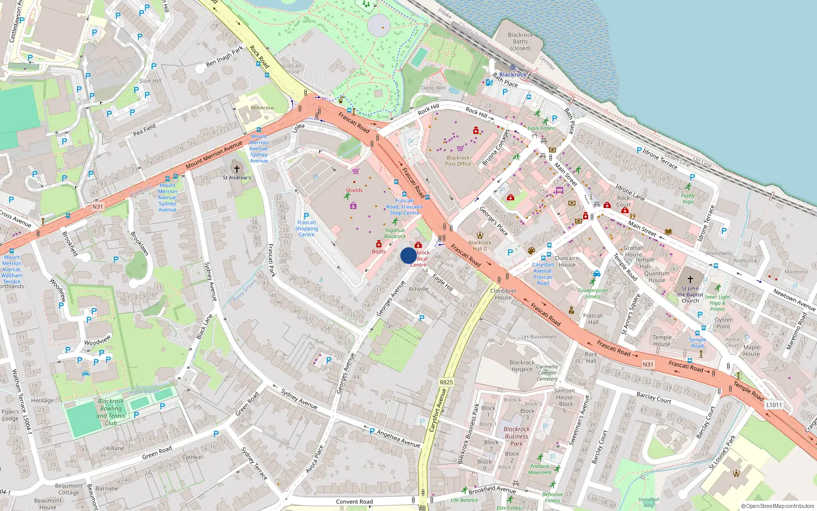 Overhead map showing the location of 4 Frascati Park, Blackrock