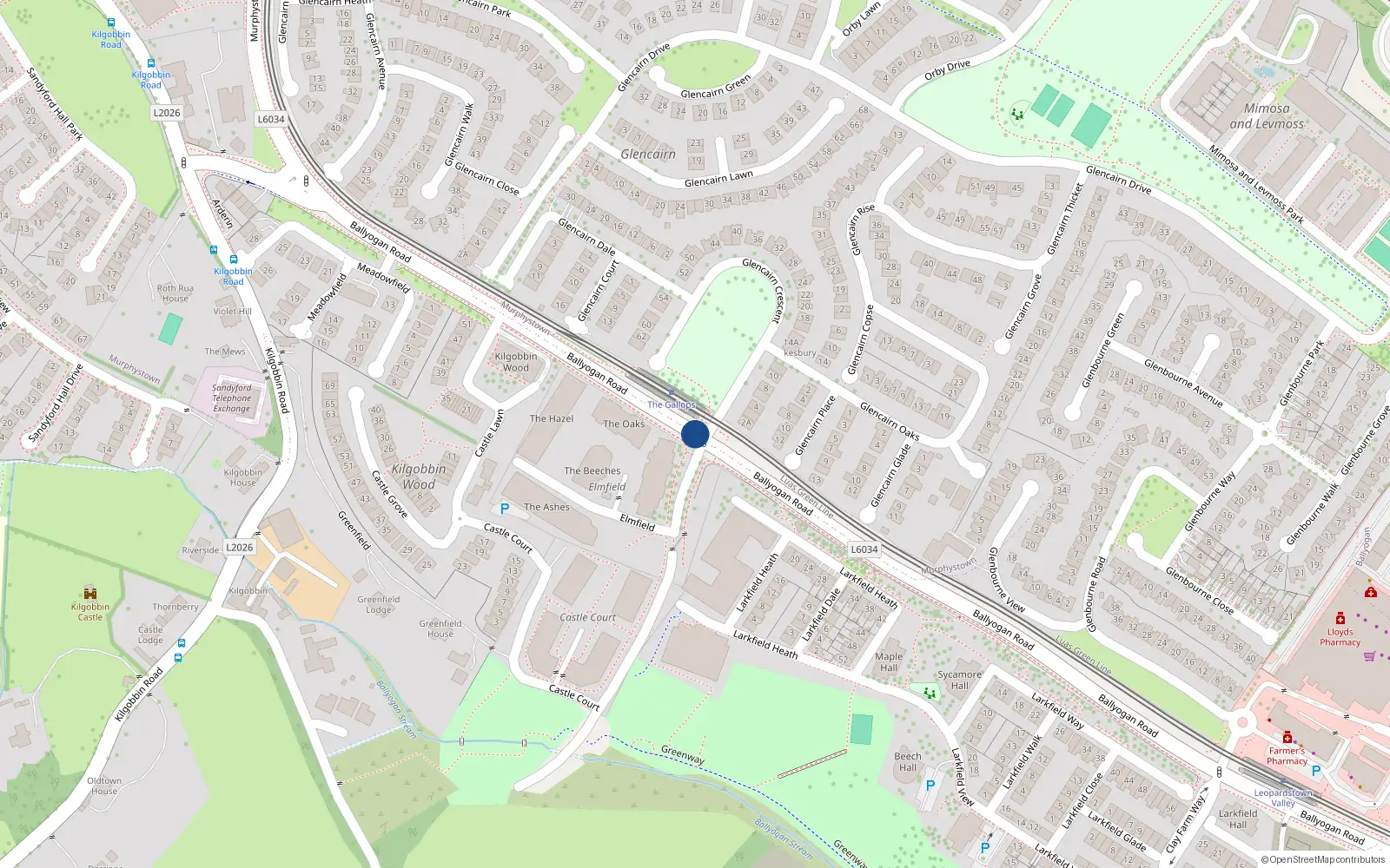 Overhead map showing the location of 4 Gort na Greine, Ballyogan Road, Leopardstown