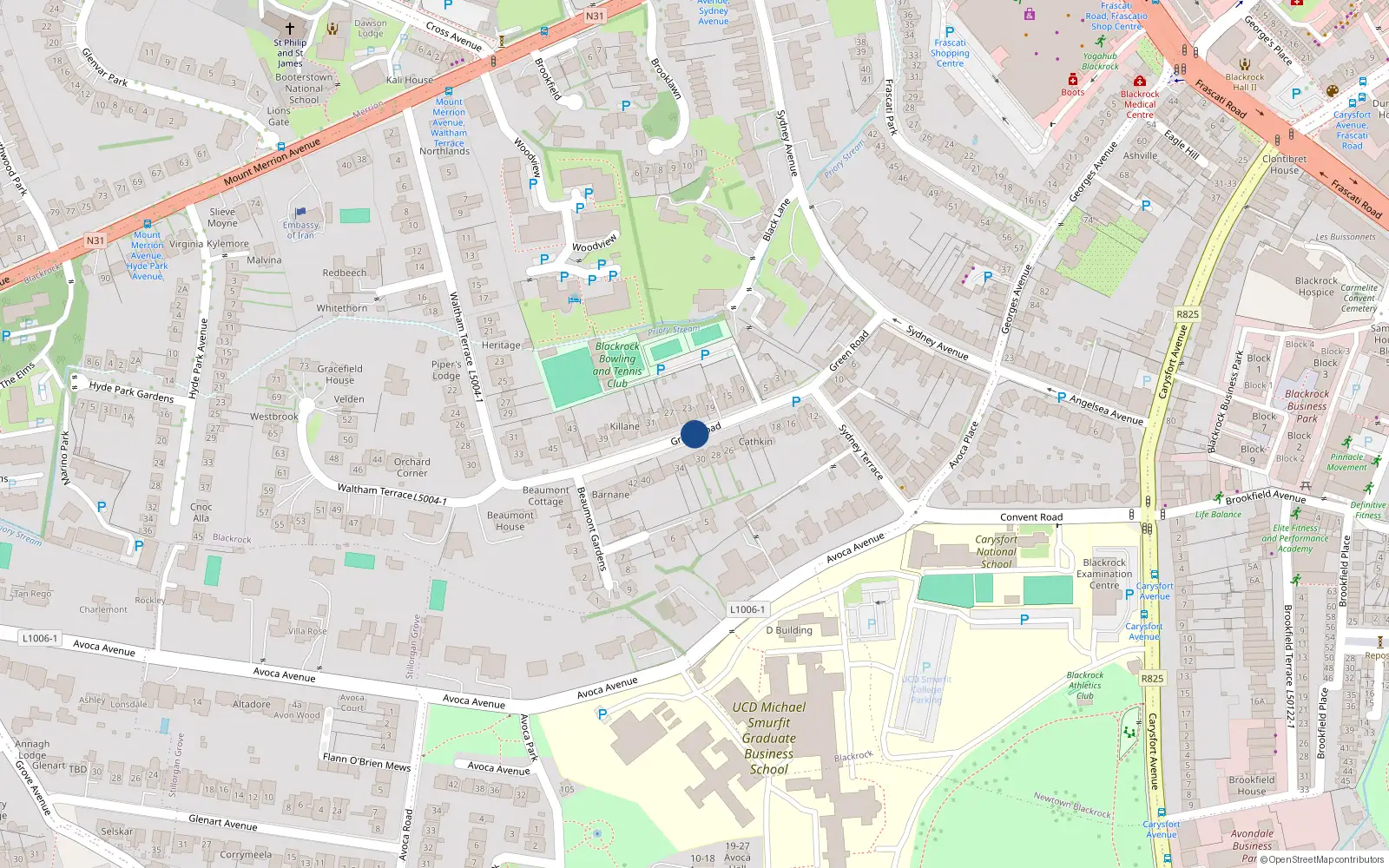 Overhead map showing the location of 4 Green Road, Blackrock