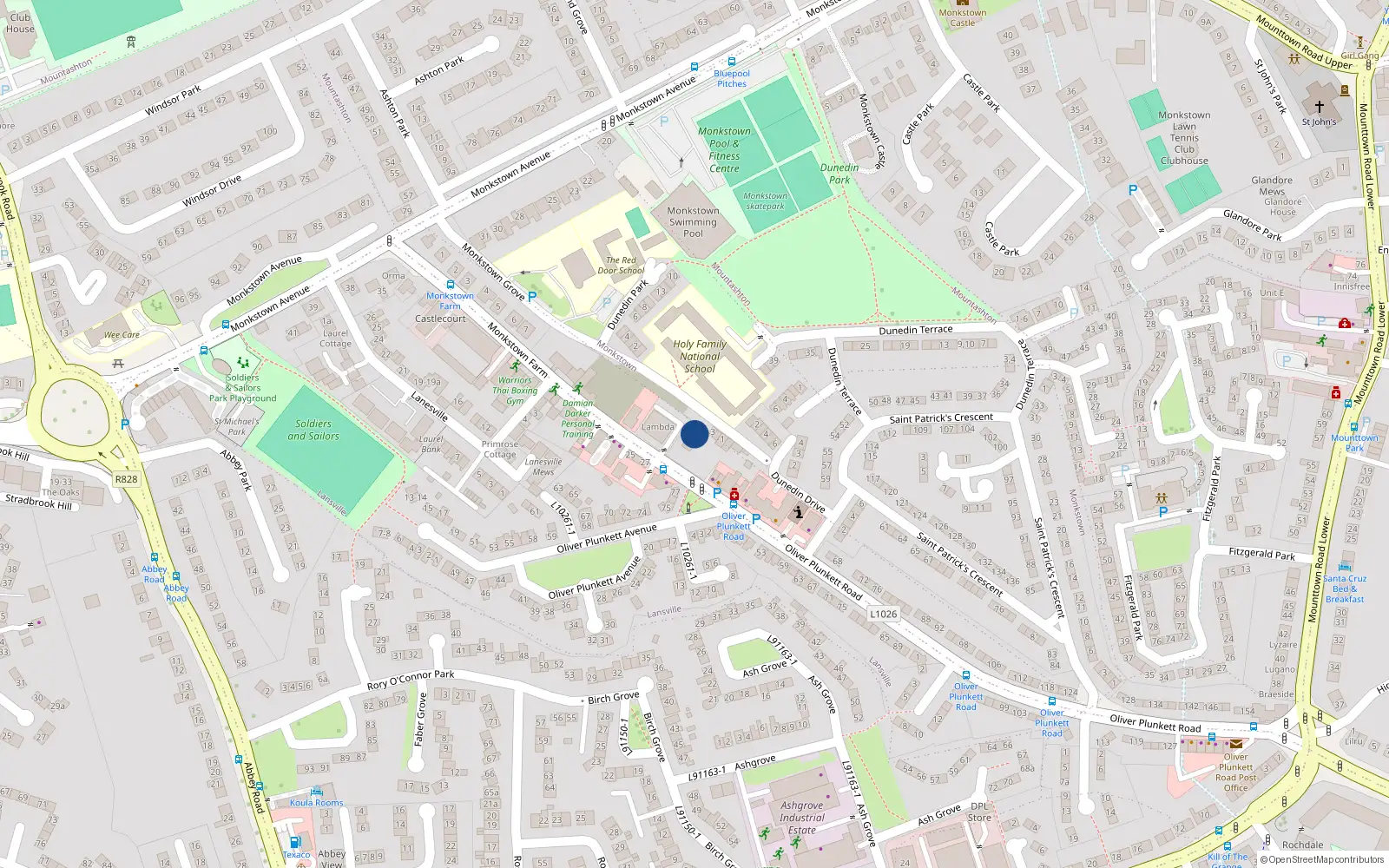 Overhead map showing the location of 4 Kilmore, Monkstown Grove, Monkstown
