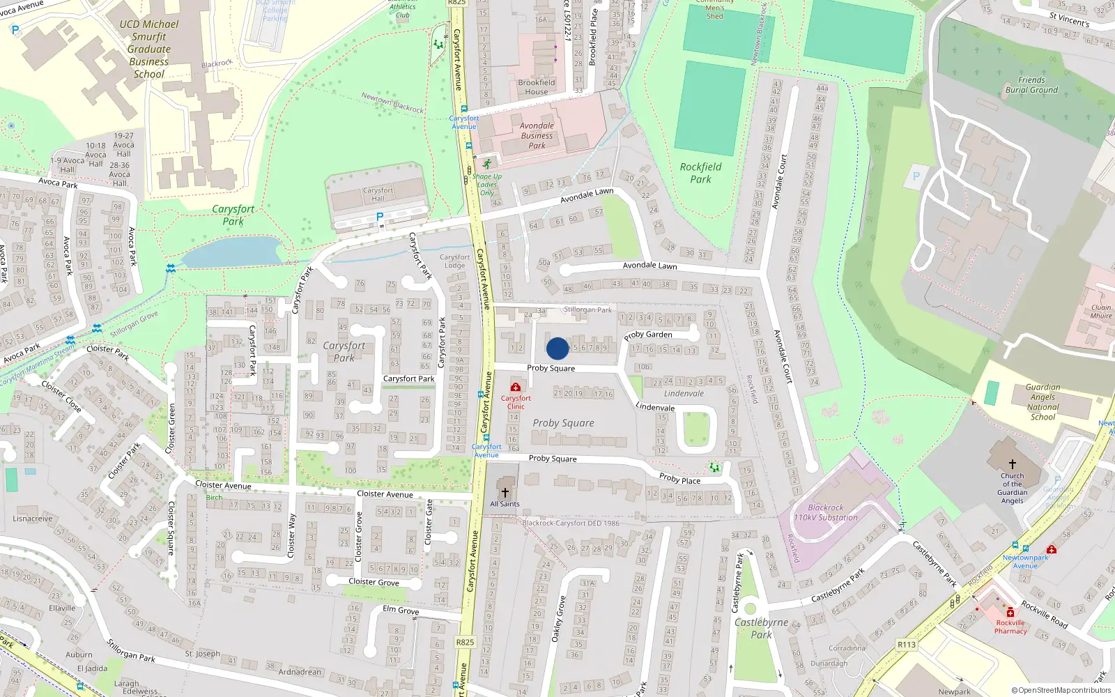Overhead map showing the location of 4 Proby Square, Blackrock
