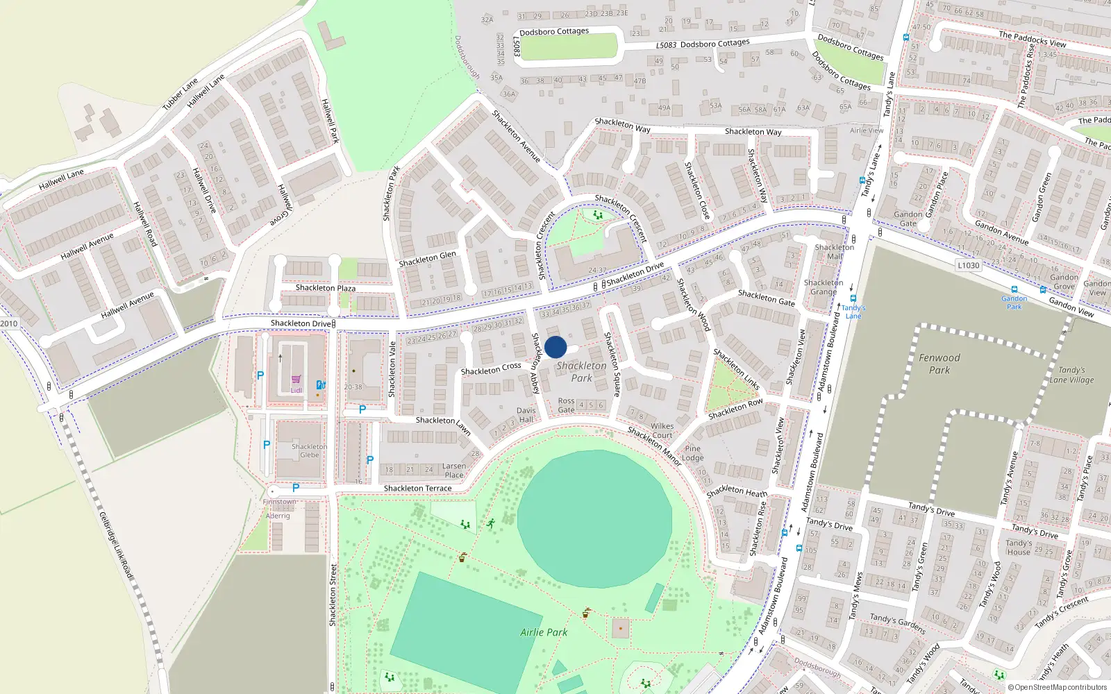 Overhead map showing the location of 4 Shackleton Abbey, Lucan