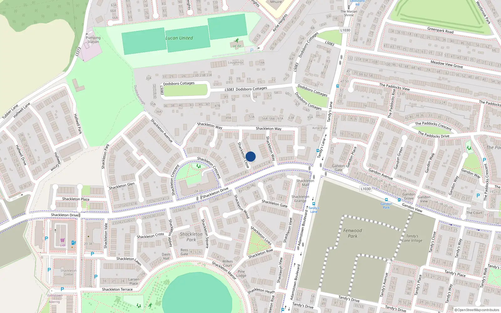 Overhead map showing the location of 4 Shackleton Close, Lucan
