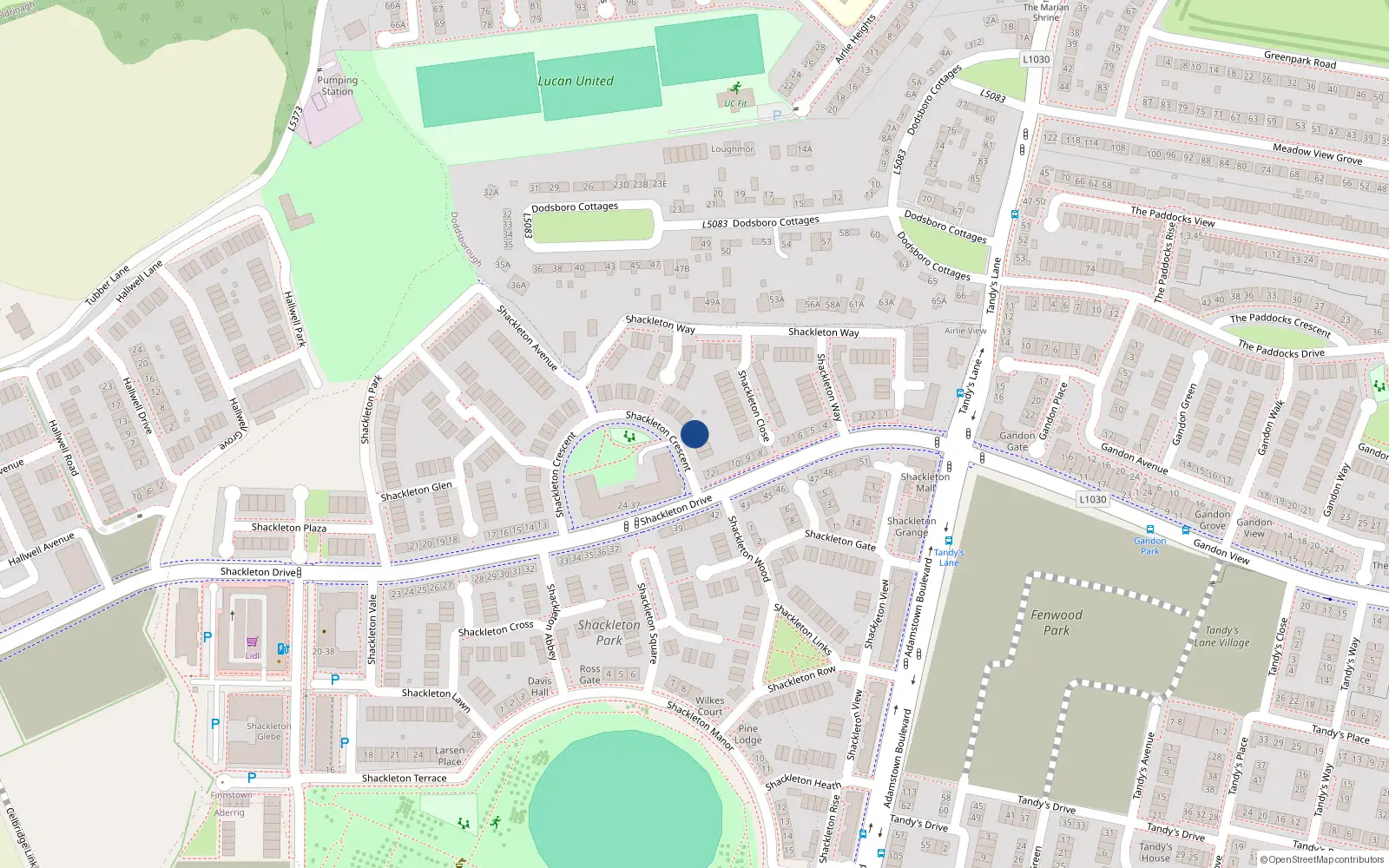 Overhead map showing the location of 4 Shackleton Crescent, Lucan