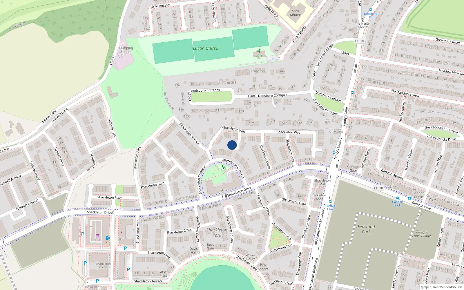 Overhead map showing the location of 4 Shackleton Green, Lucan