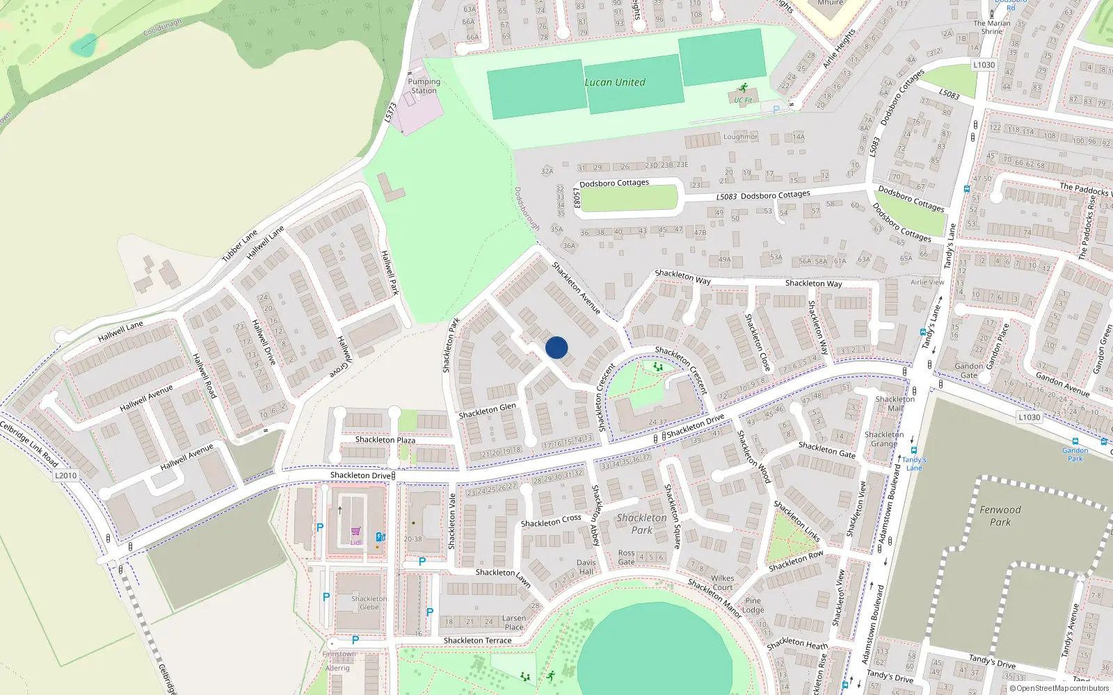 Overhead map showing the location of 4 Shackleton Grove, Lucan