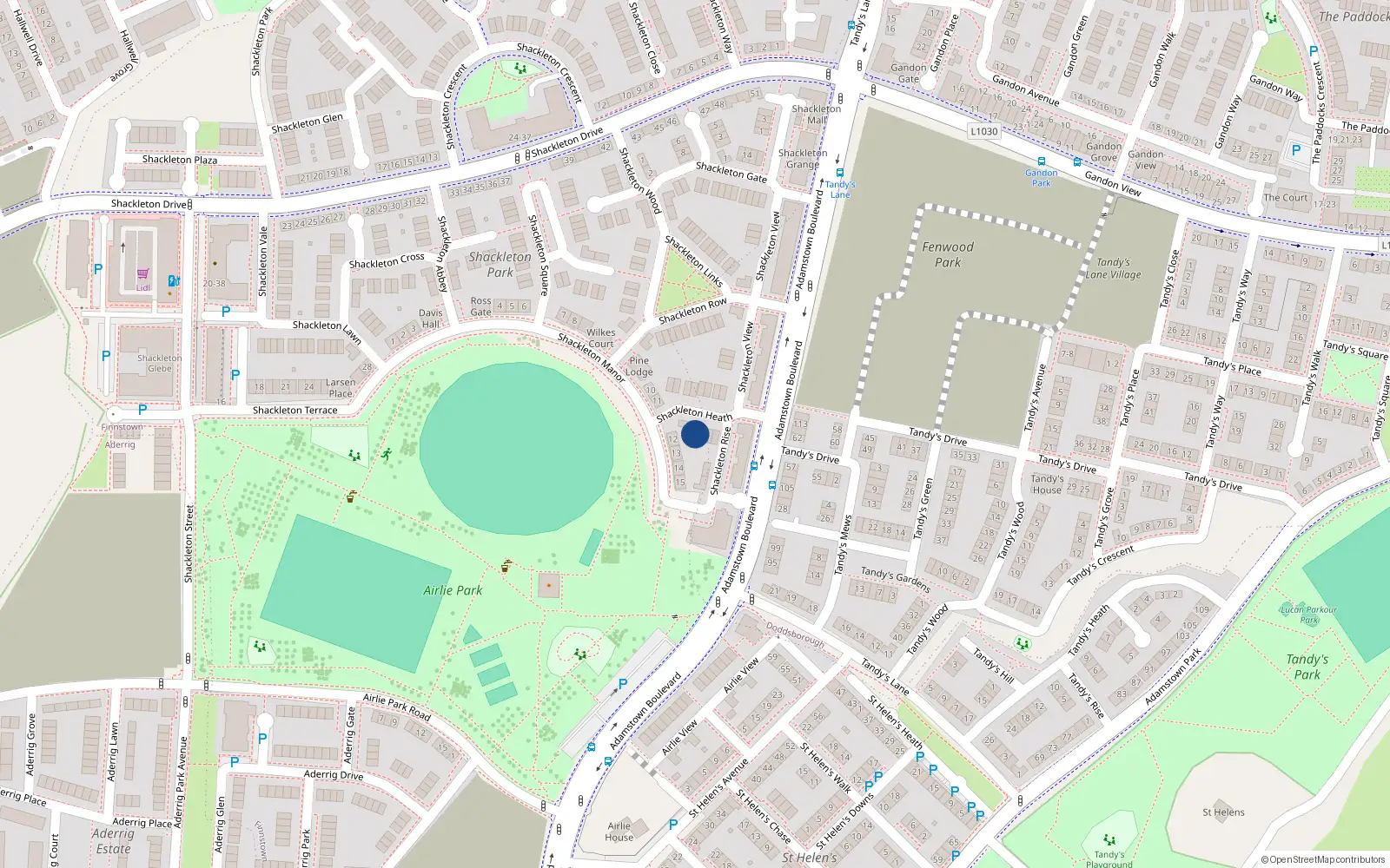 Overhead map showing the location of 4 Shackleton Heath, Shackleton Park, Lucan