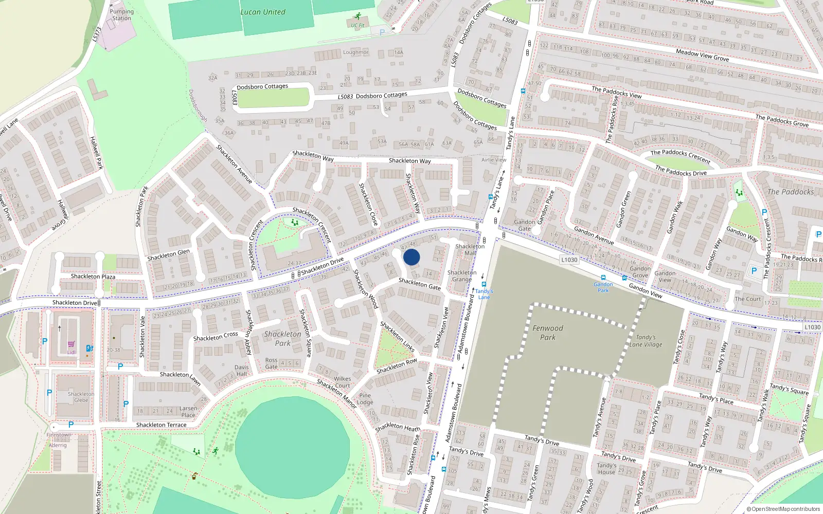 Overhead map showing the location of 4 Shackleton Lodge, Lucan