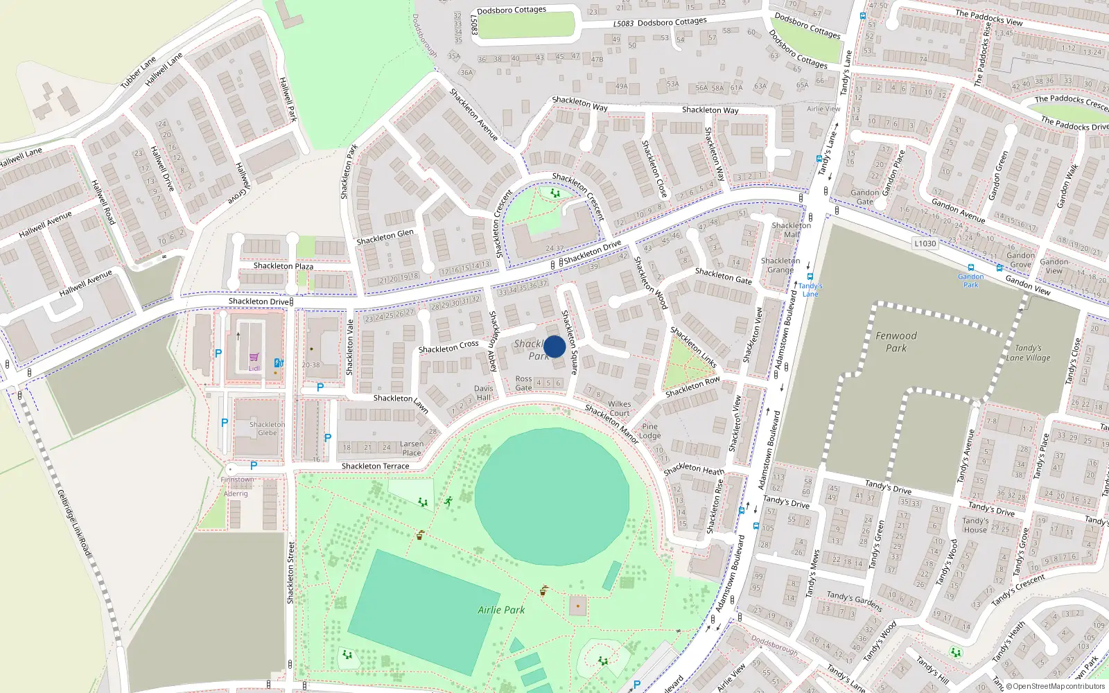 Overhead map showing the location of 4 Shackleton Square, Lucan
