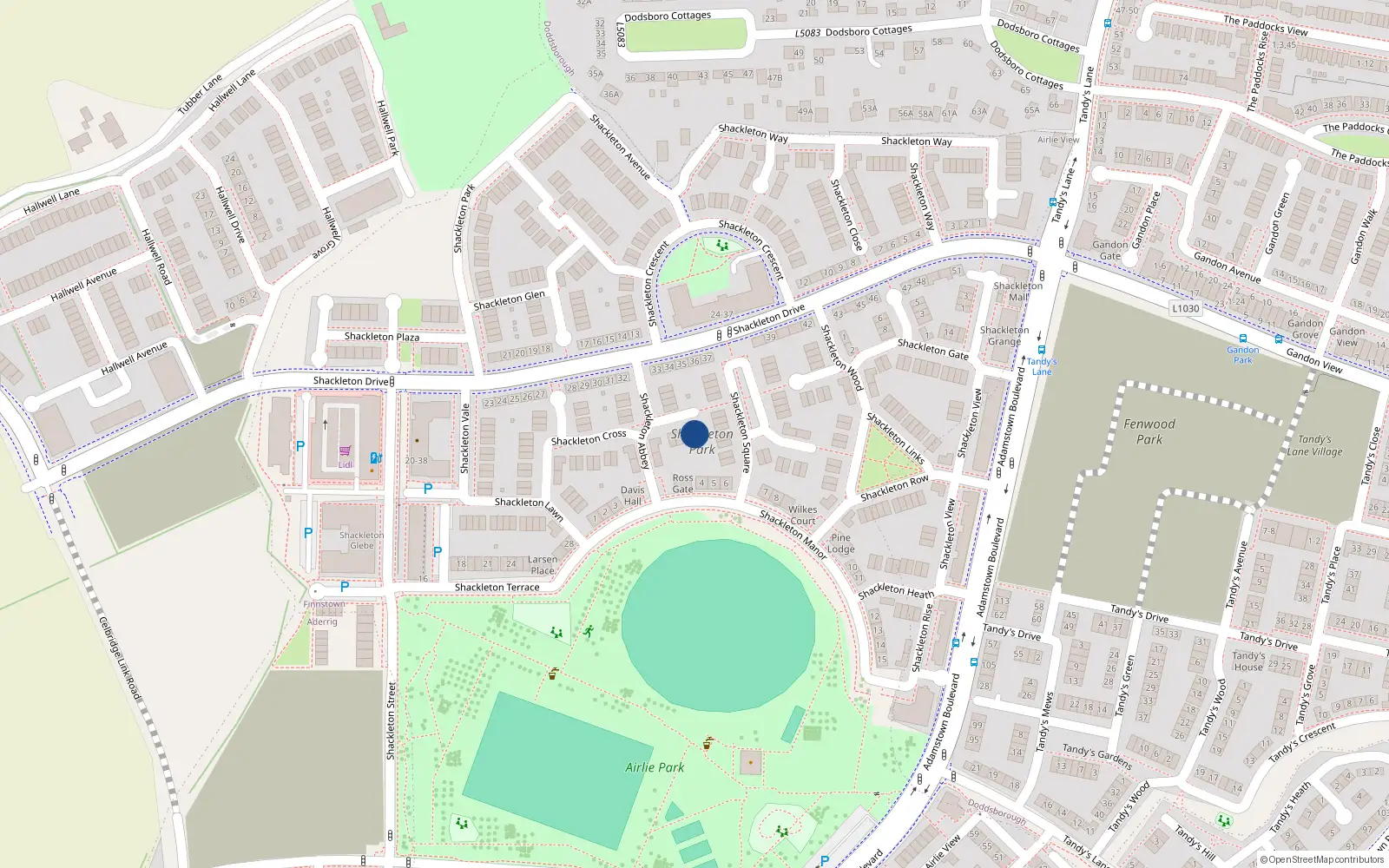 Overhead map showing the location of 4 Shackleton Well, Lucan
