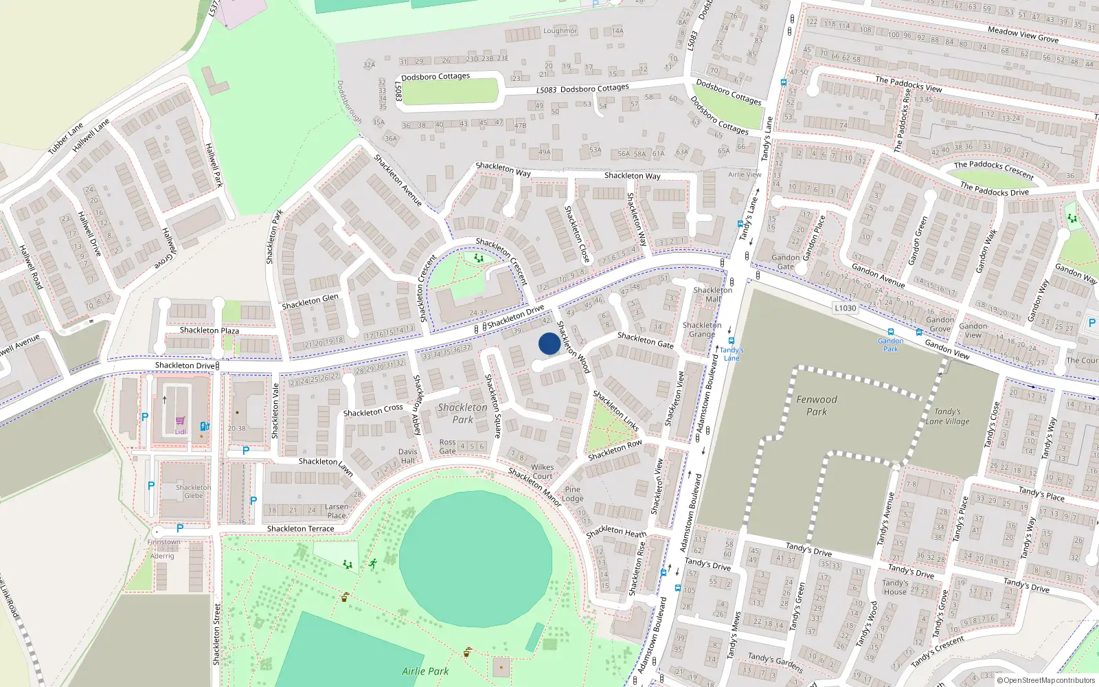 Overhead map showing the location of 4 Shackleton Wood, Lucan