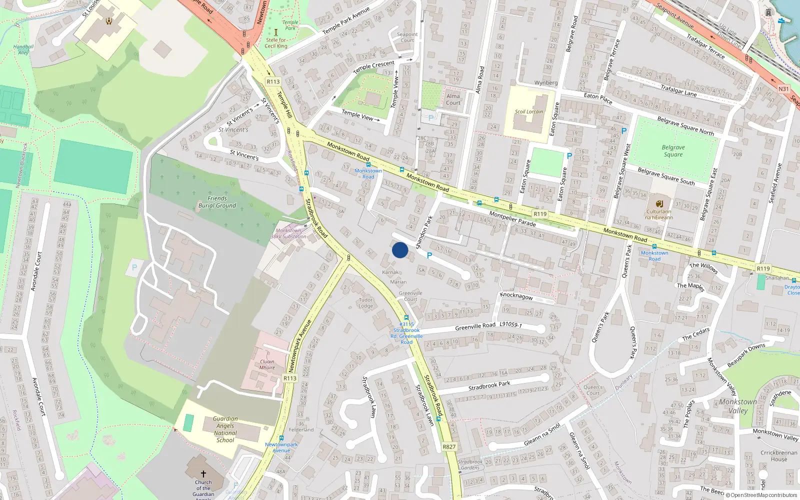 Overhead map showing the location of 4 Shandon Wood, Blackrock